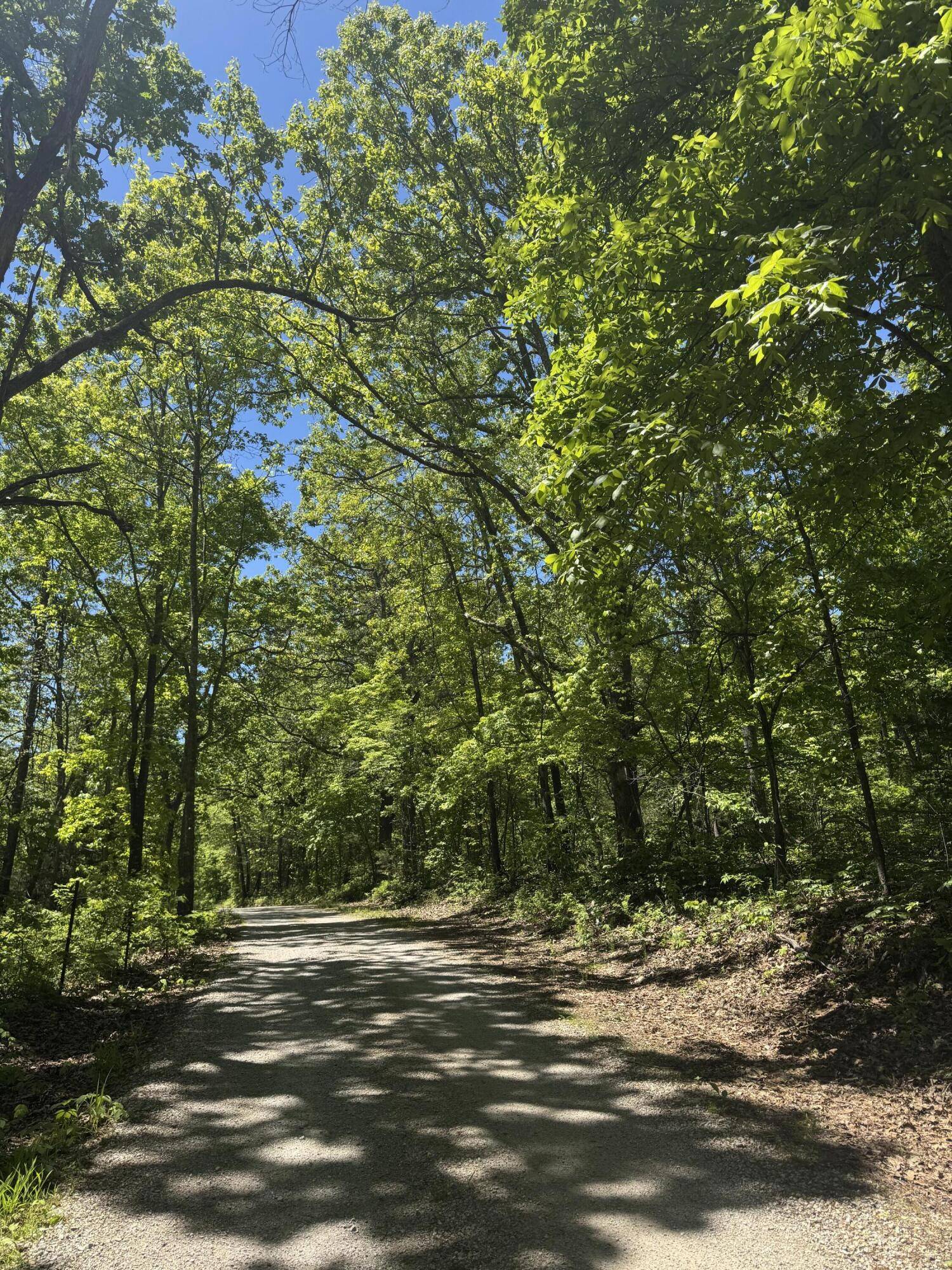 6739 Co RD #76-430, Ava, MO 65608