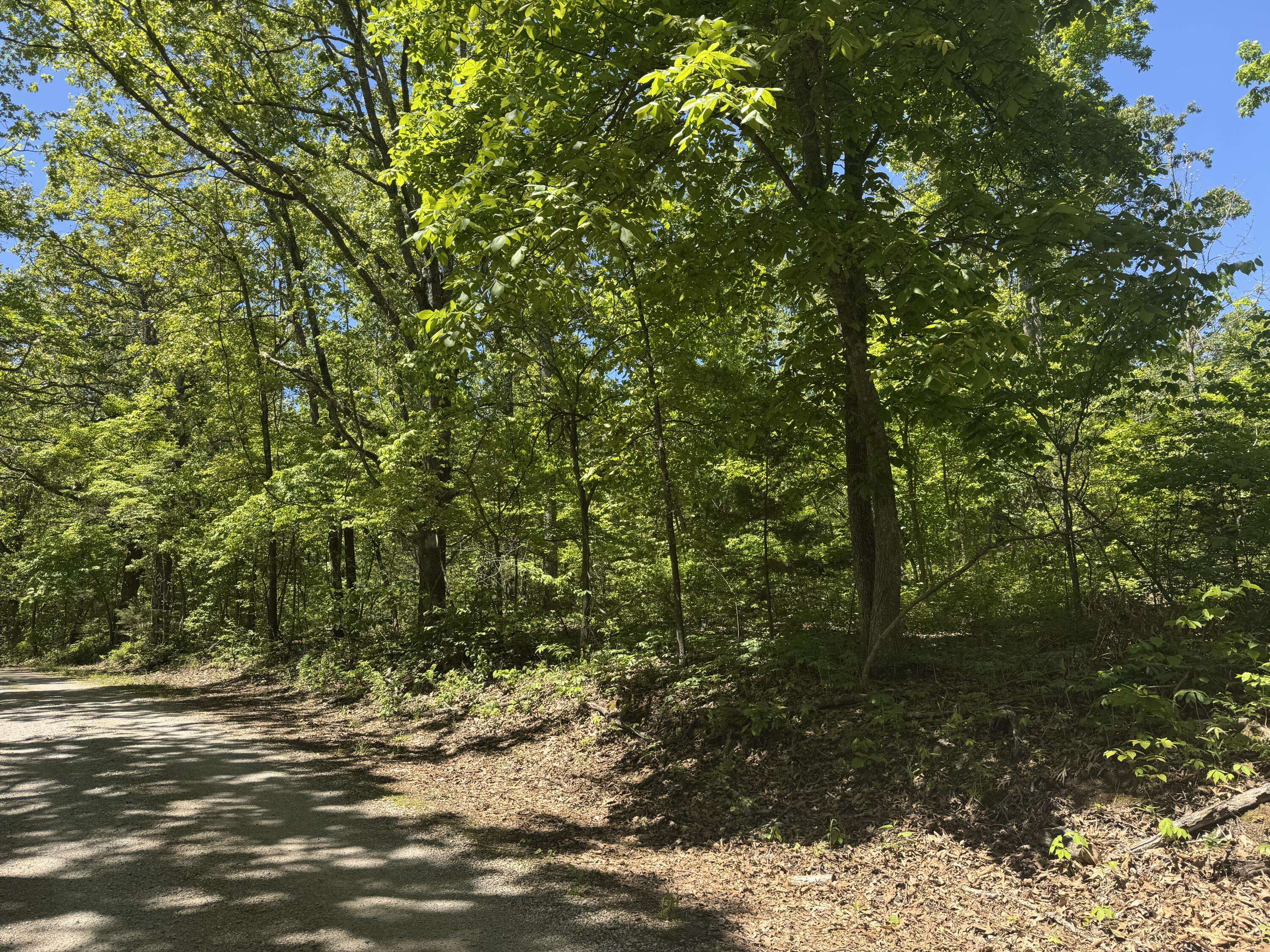 6739 Co RD #76-430, Ava, MO 65608