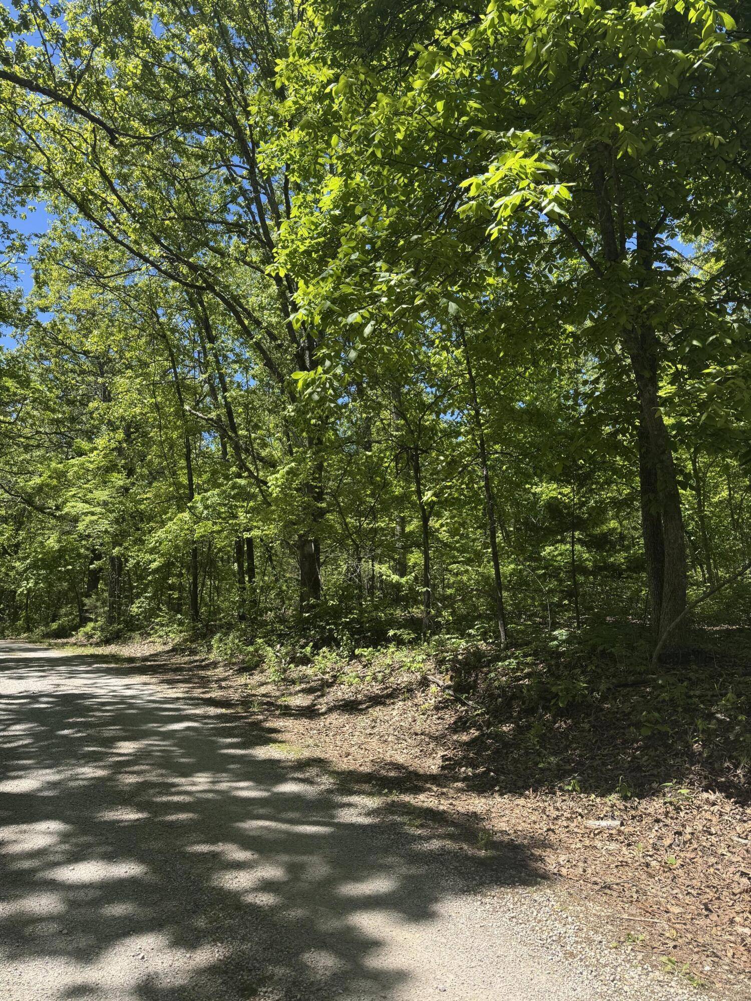 6739 Co RD #76-430, Ava, MO 65608
