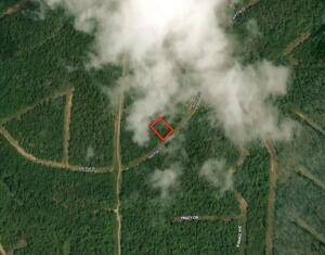 313 Ash Flat DR, Horseshoe Bend, AR 72512