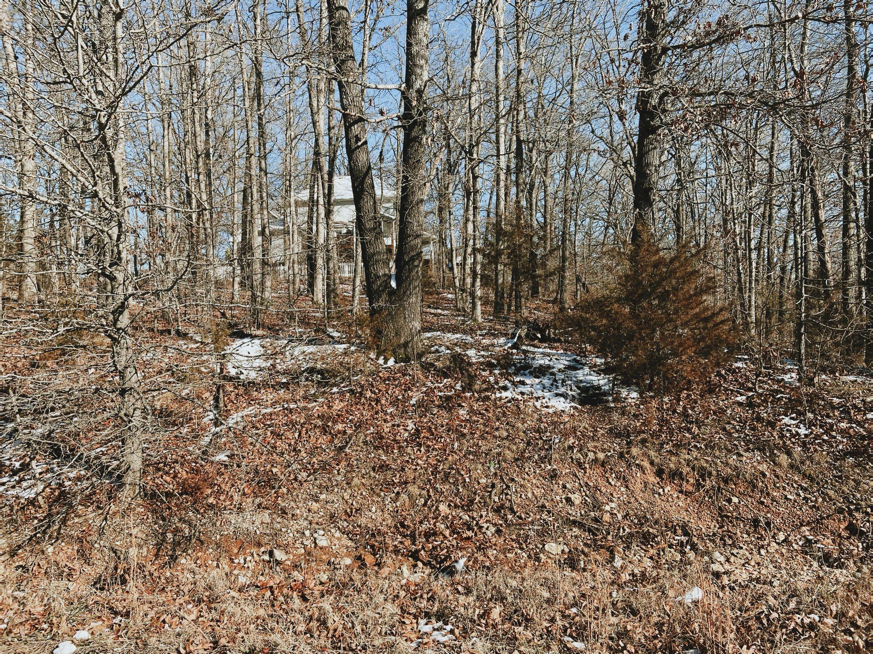 000 Lot 2 Block 13 Morrison Sub, West Plains, MO 65775
