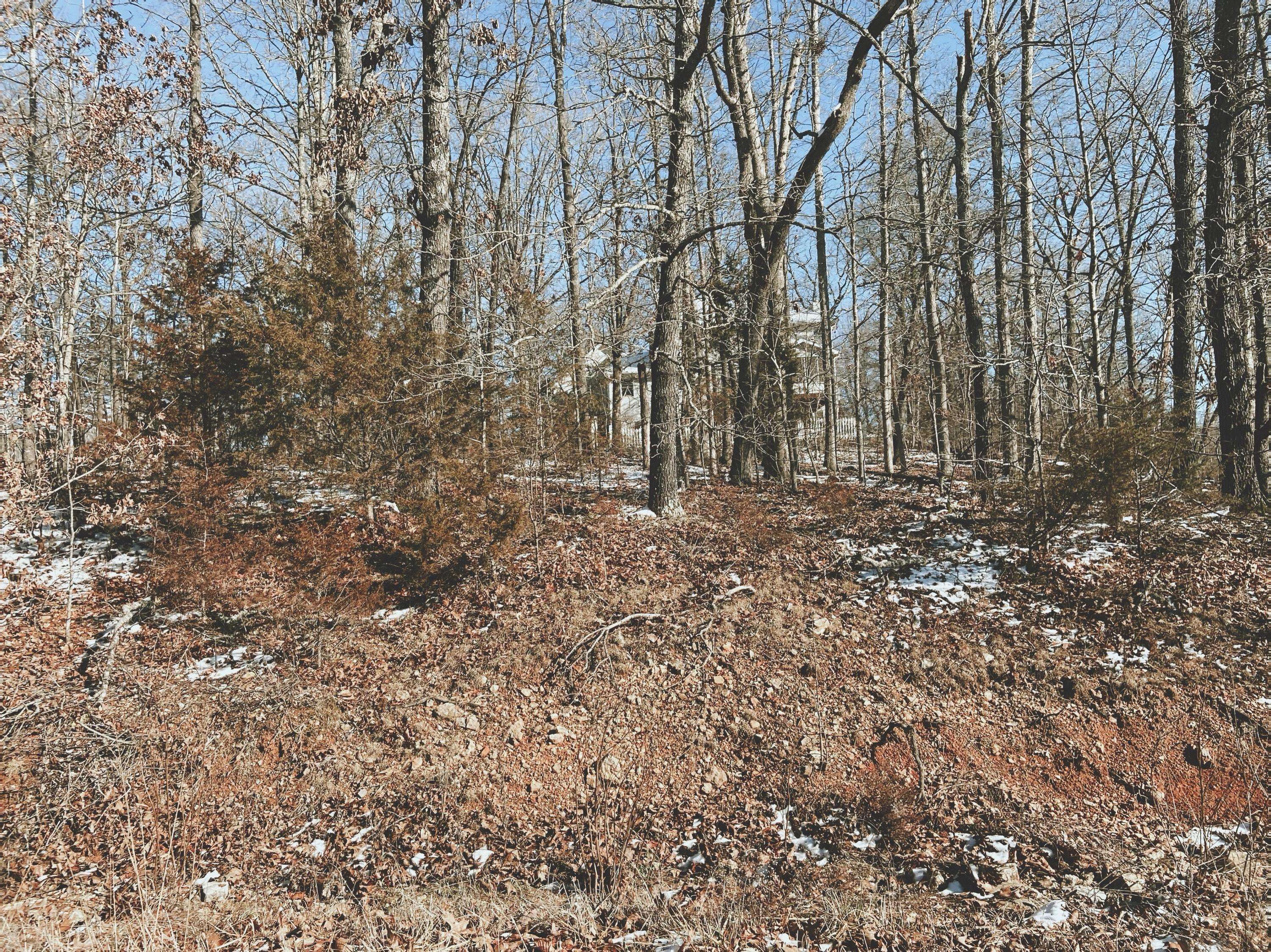 000 Lot 2 Block 13 Morrison Sub, West Plains, MO 65775