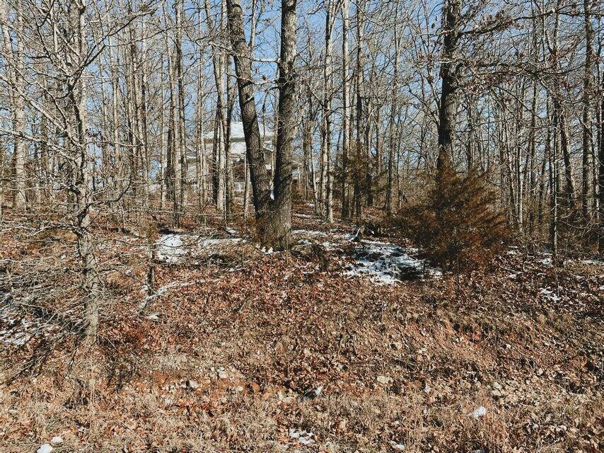 000 Lot 4 Block 13 Morrison Sub, West Plains, MO 65775