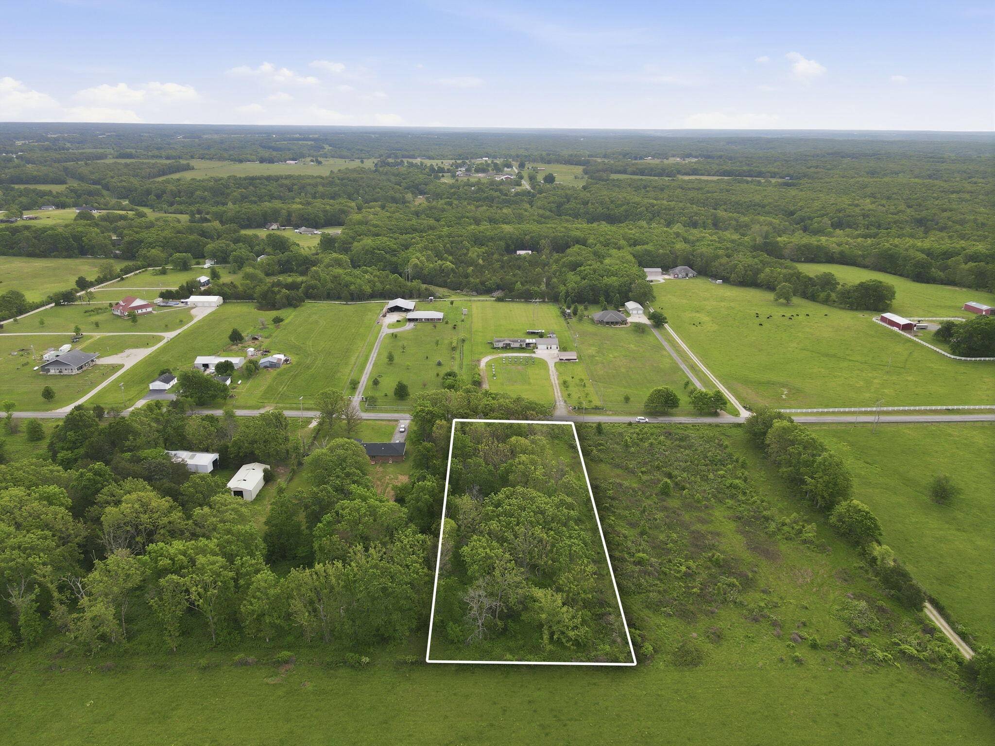 000 Chicory RD #Tract 5, Rogersville, MO 65742
