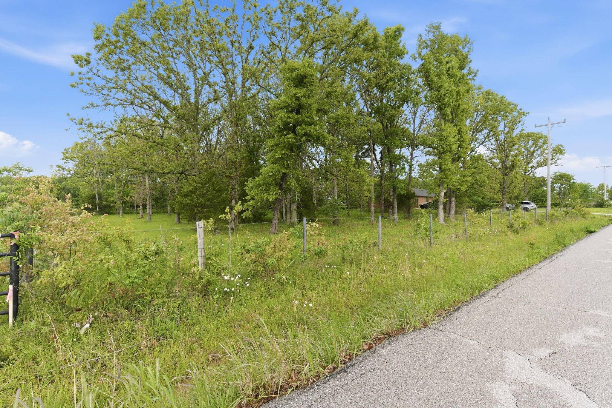 000 Chicory RD #Tract 5, Rogersville, MO 65742