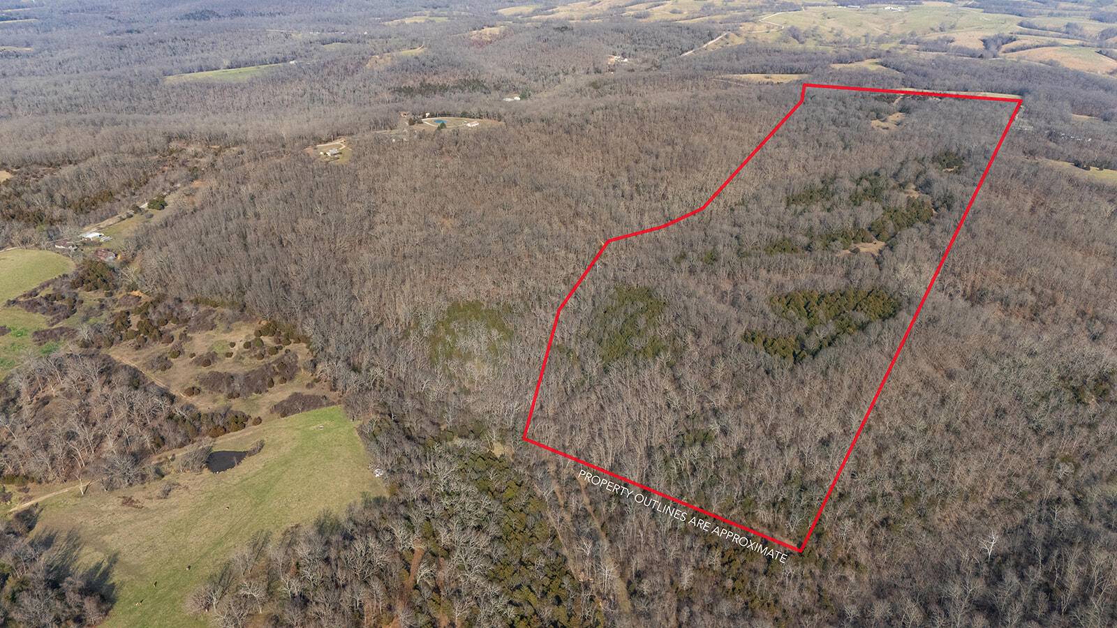 000 Abadyl RD, Fordland, MO 65652