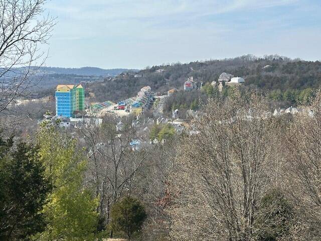 32 Canyon Pkwy, Branson, MO 65616