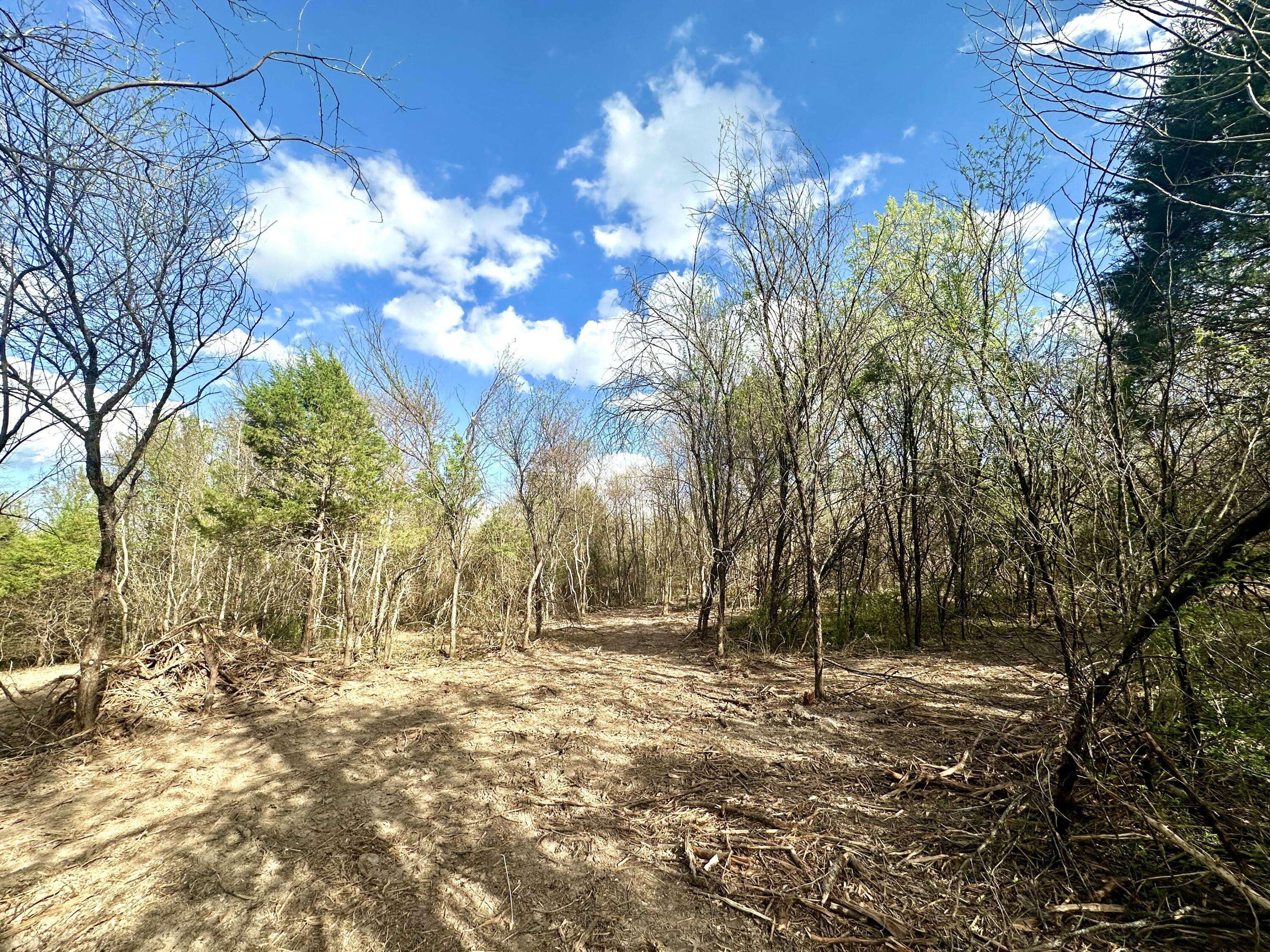 Lot 3 Mack RD, Nixa, MO 65714