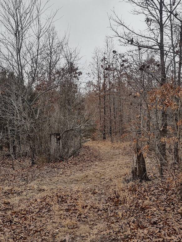 New$..8850 Highway Dd, Niangua, MO 65713