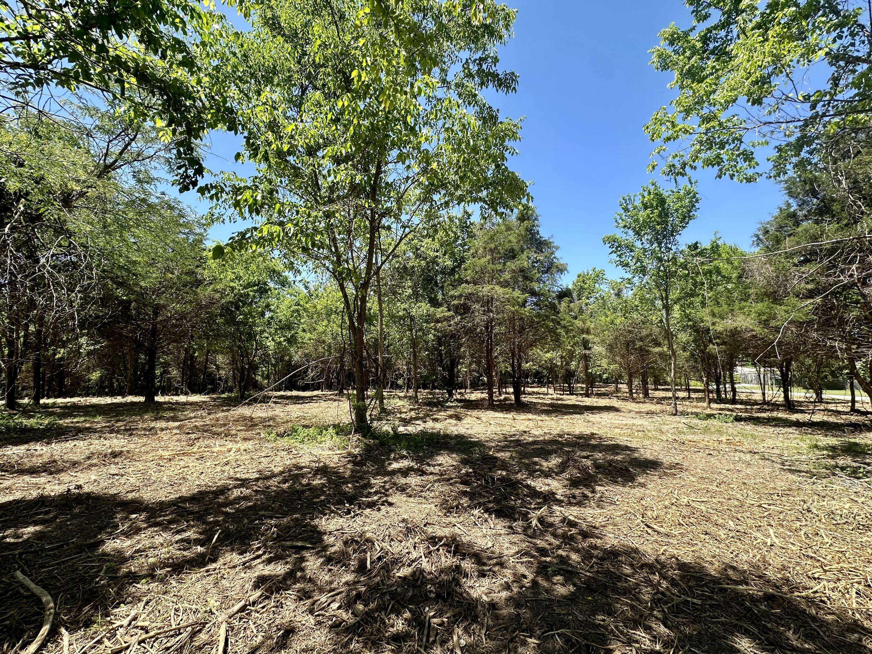 Lot 6 Mack RD, Nixa, MO 65714