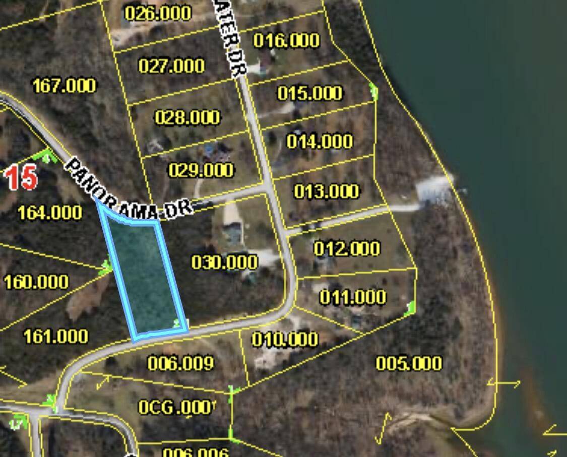 000 Panorama DR #Lot 162, Cape Fair, MO 65624