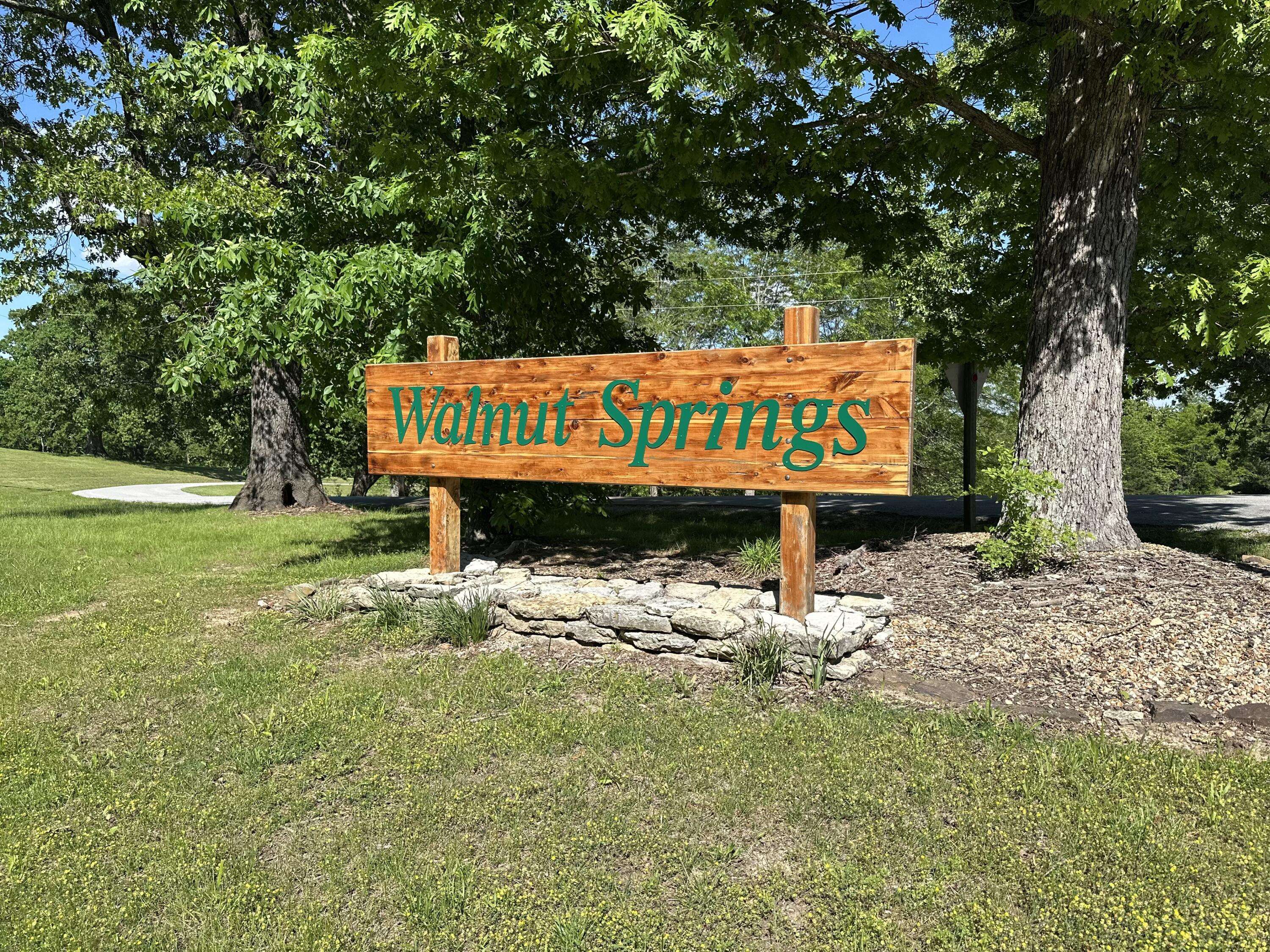 000 Panorama DR #Lot 162, Cape Fair, MO 65624