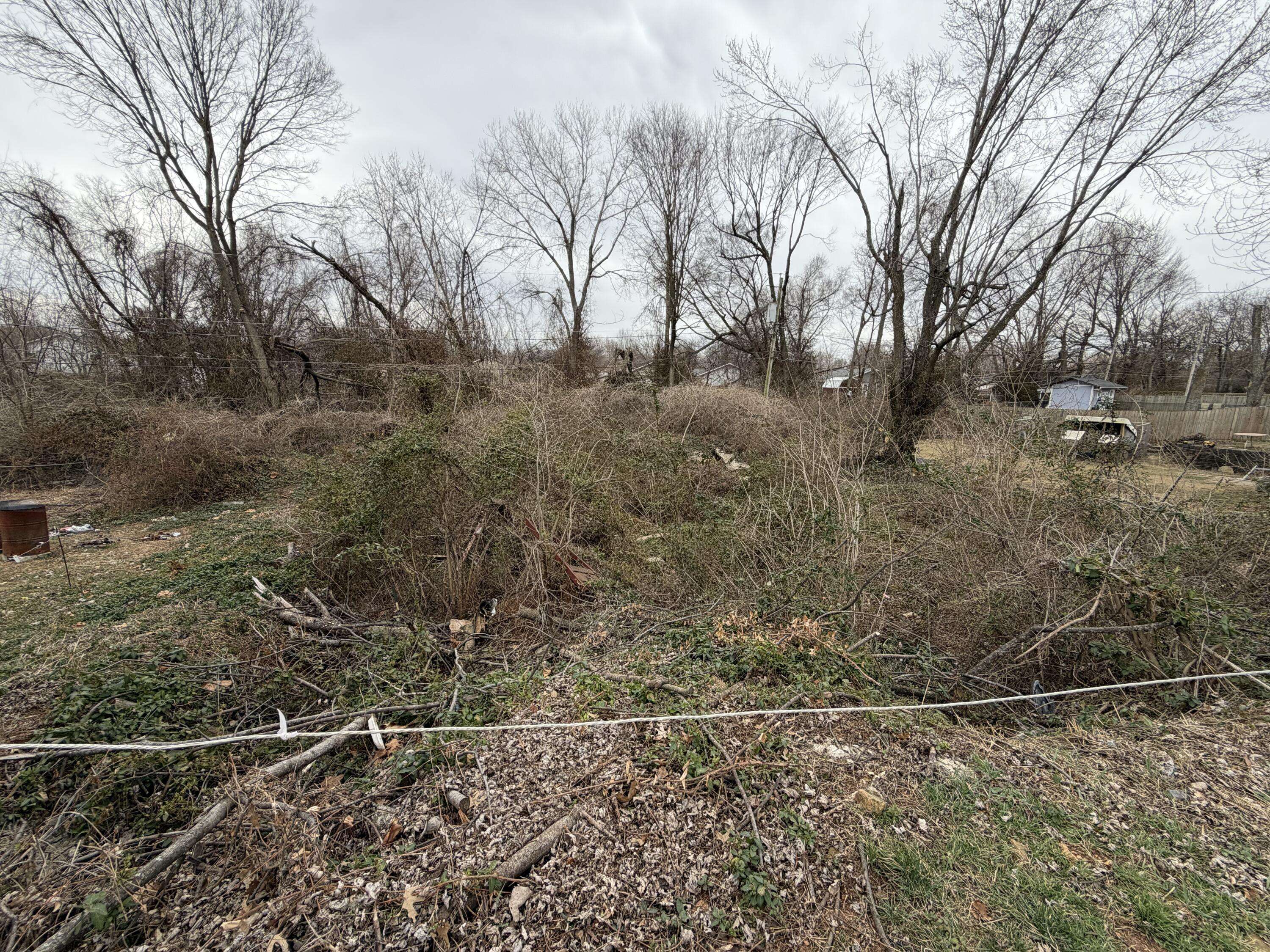 1228 N Glenn AVE, Springfield, MO 65802