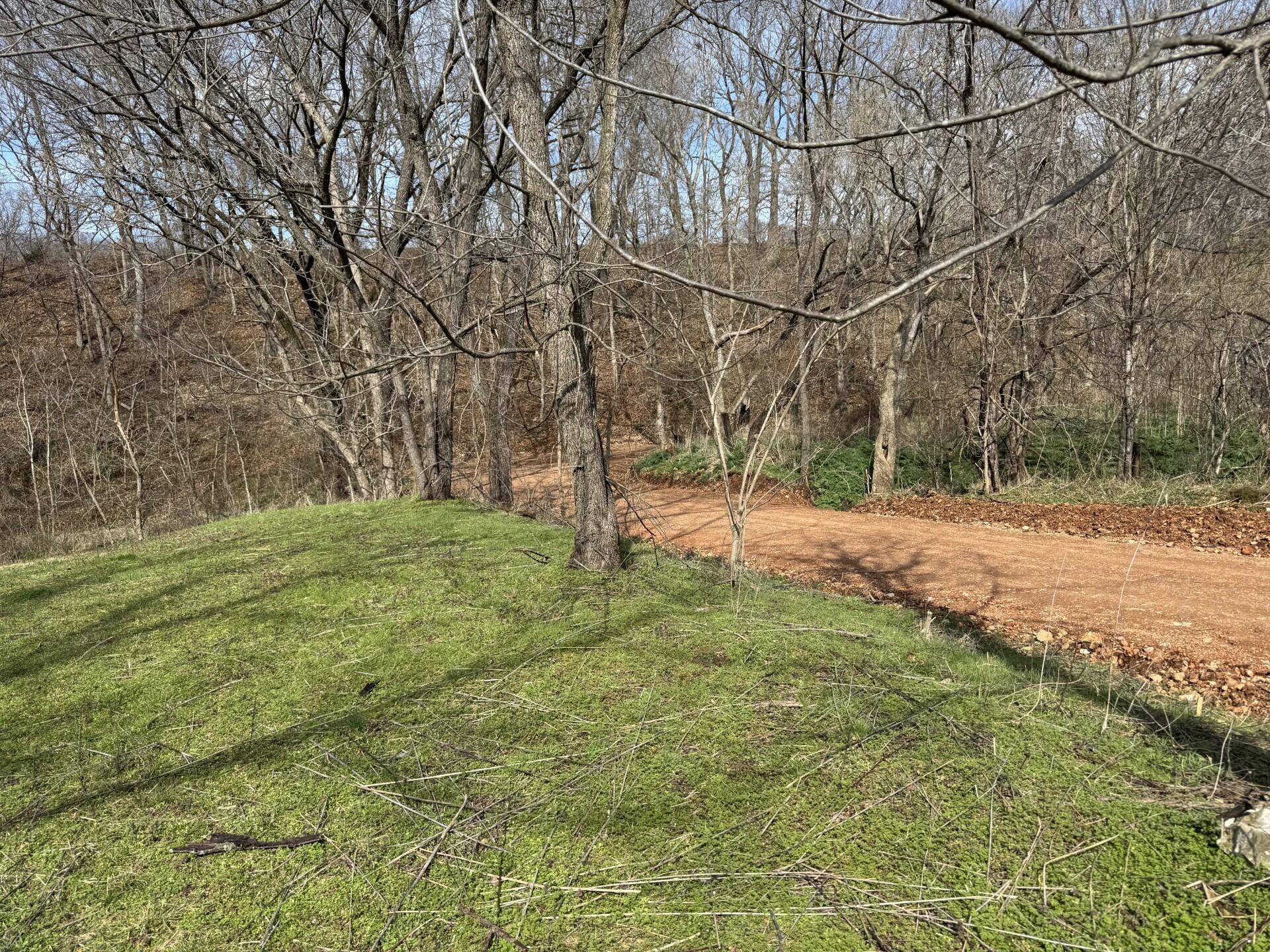 421 Farm Road 2160, Exeter, MO 65647