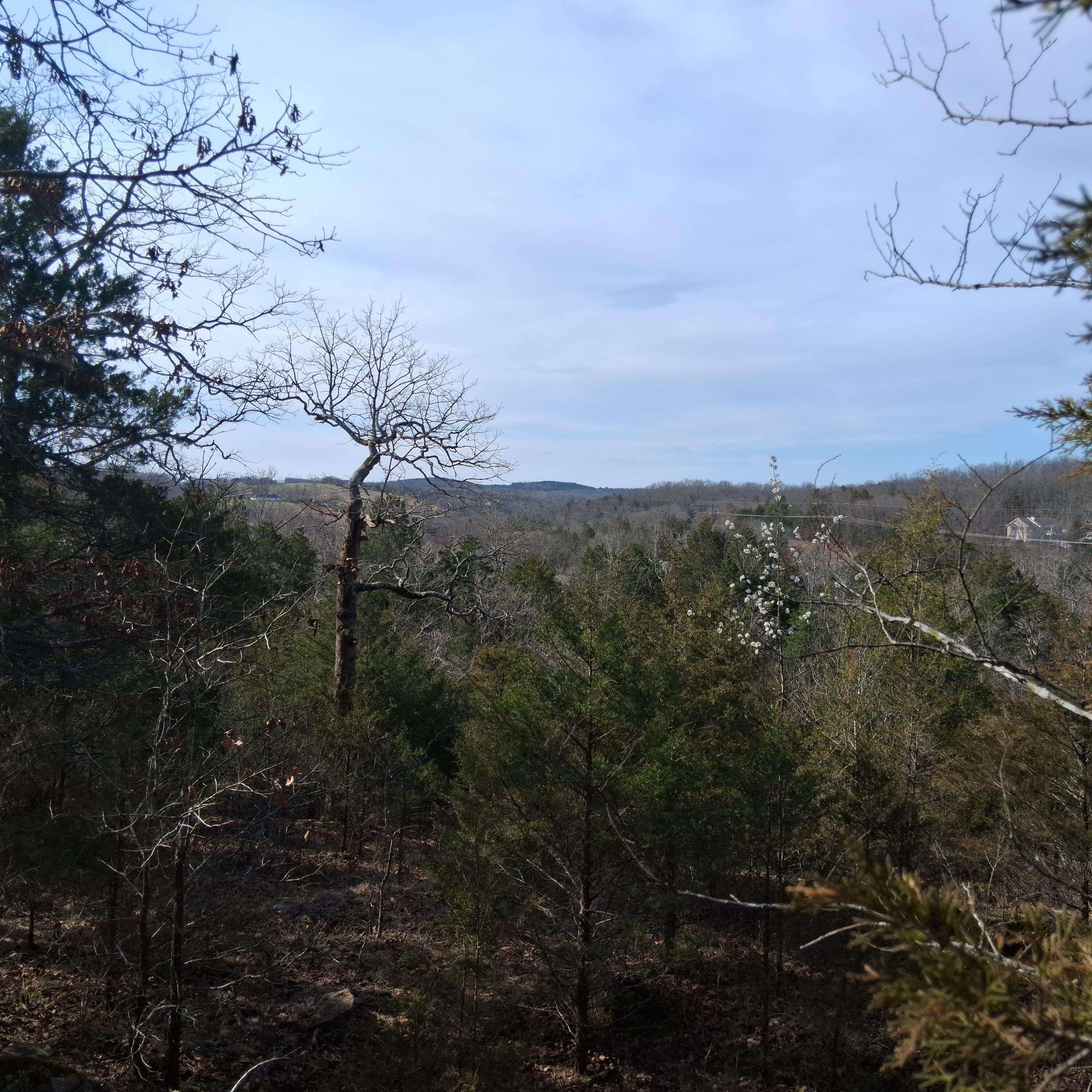 000 Greers Ferry RD, Branson, MO 65616