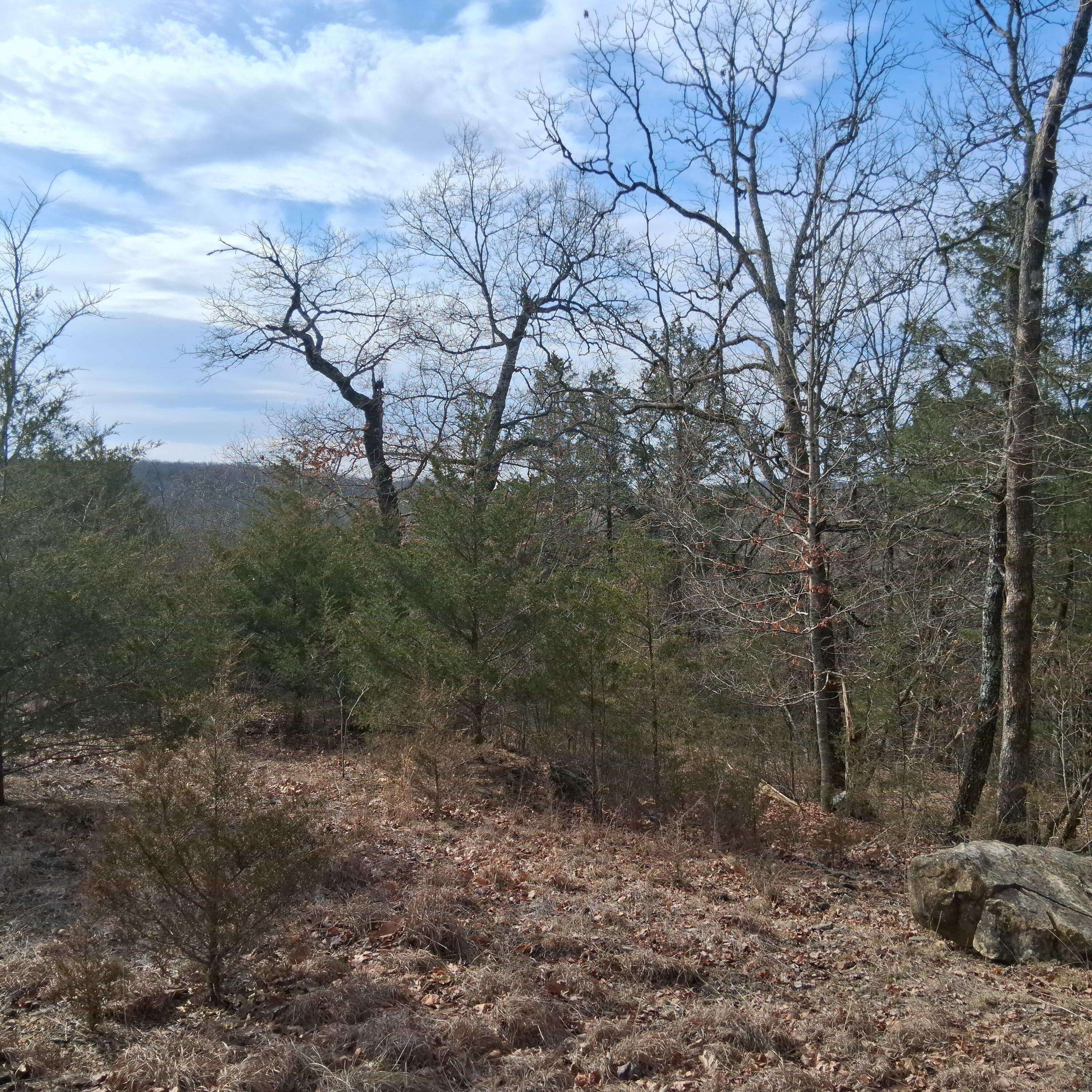 000 Greers Ferry RD, Branson, MO 65616