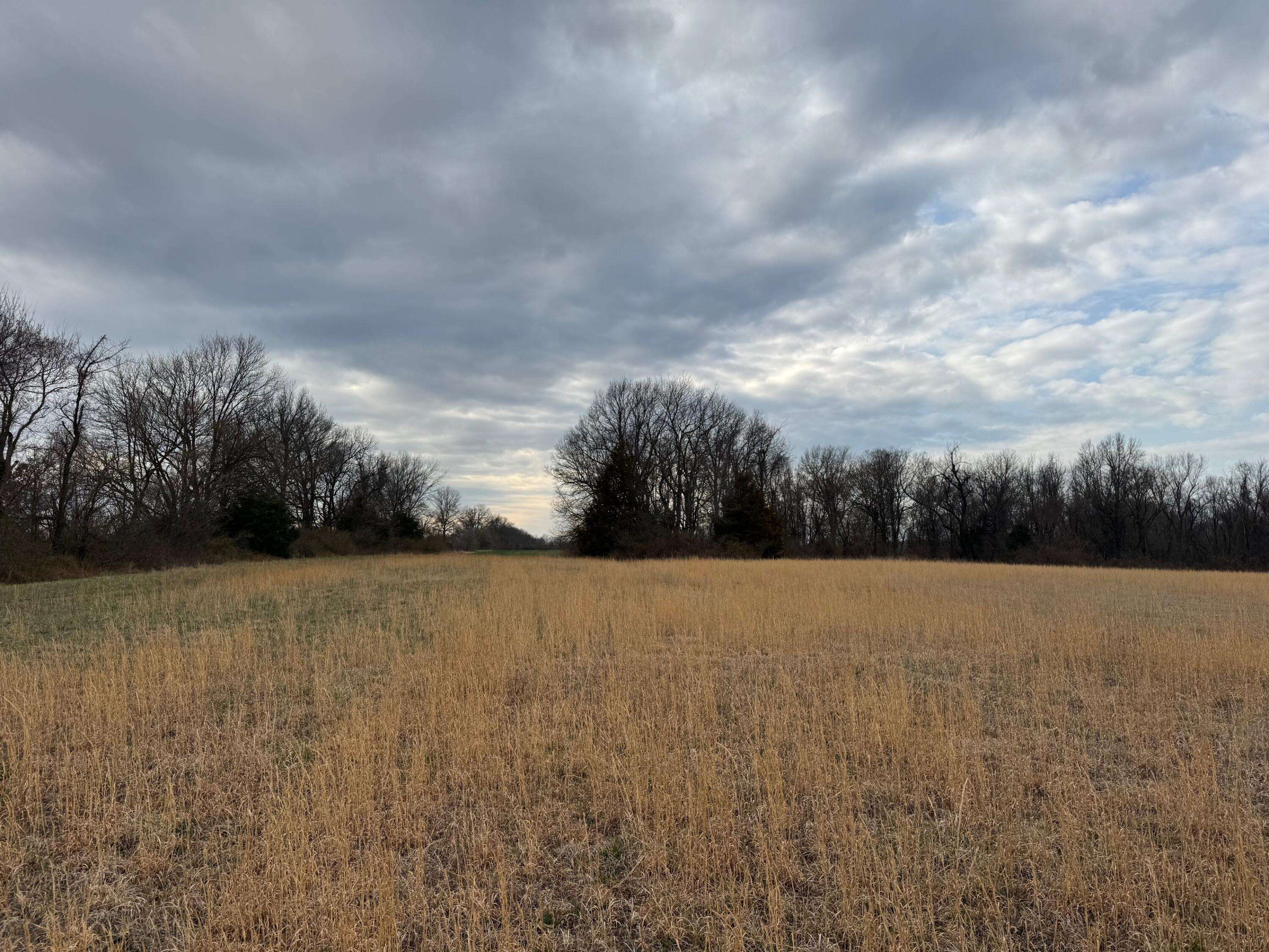 Tbd County Road 270, Asbury, MO 64832