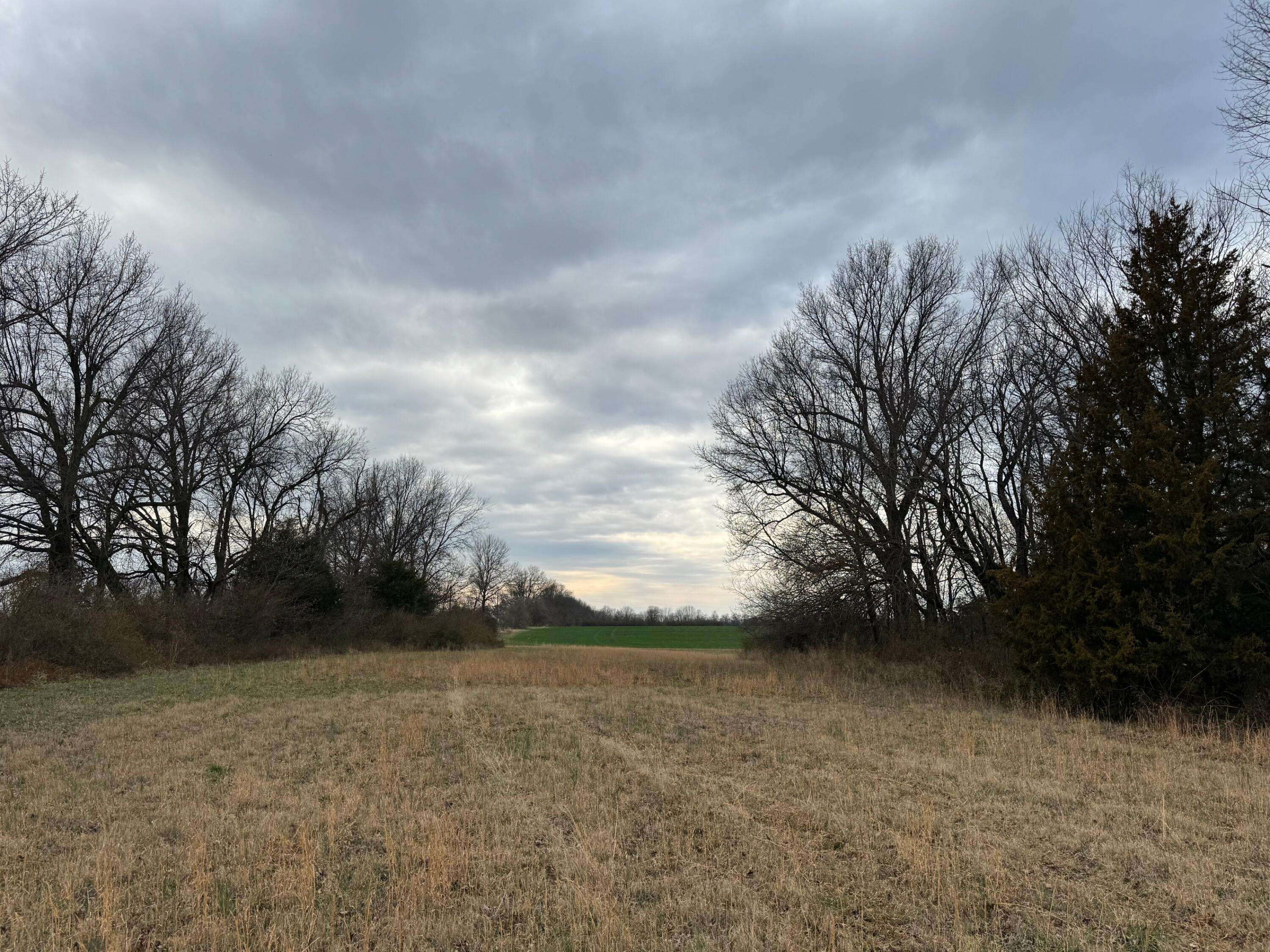Tbd County Road 270, Asbury, MO 64832