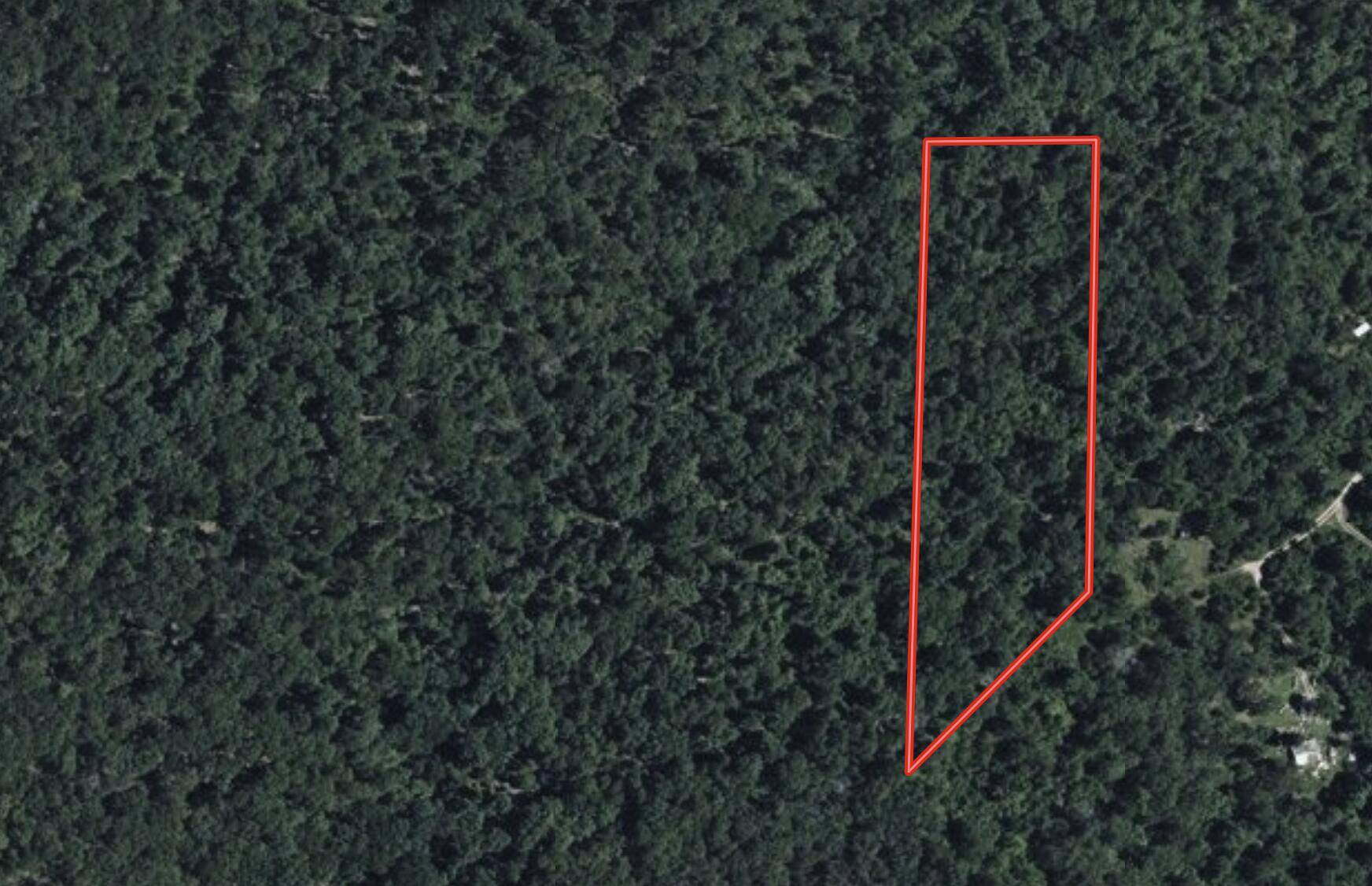 000 Private Drive County Road 803b, Gainesville, MO 65655