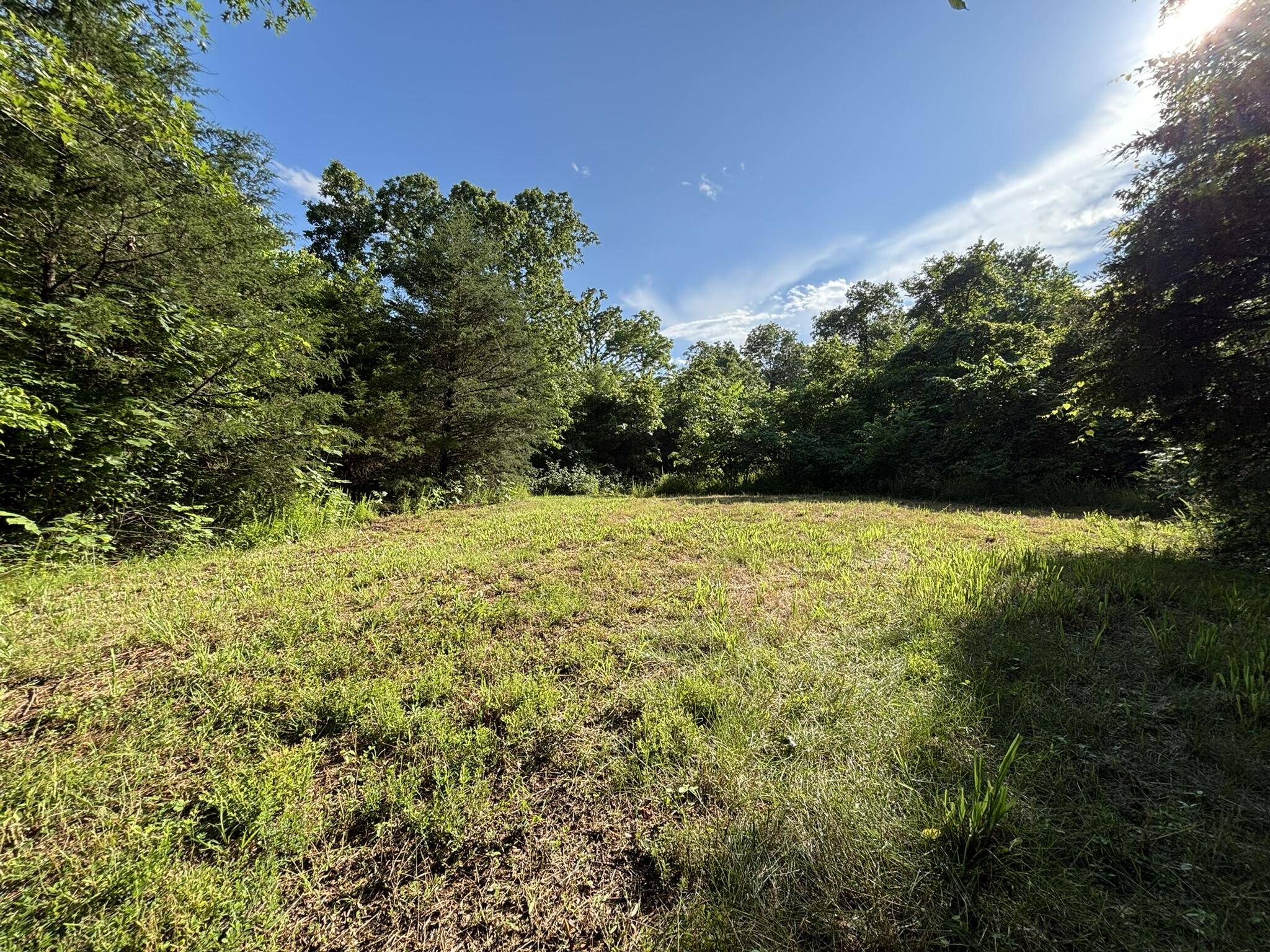 000 Private Drive County Road 803b, Gainesville, MO 65655
