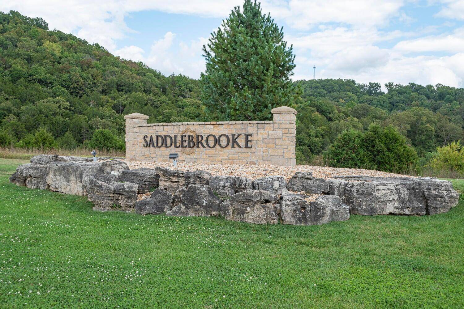 Lot 14 Appaloosa TRL, Saddlebrooke, MO 65630