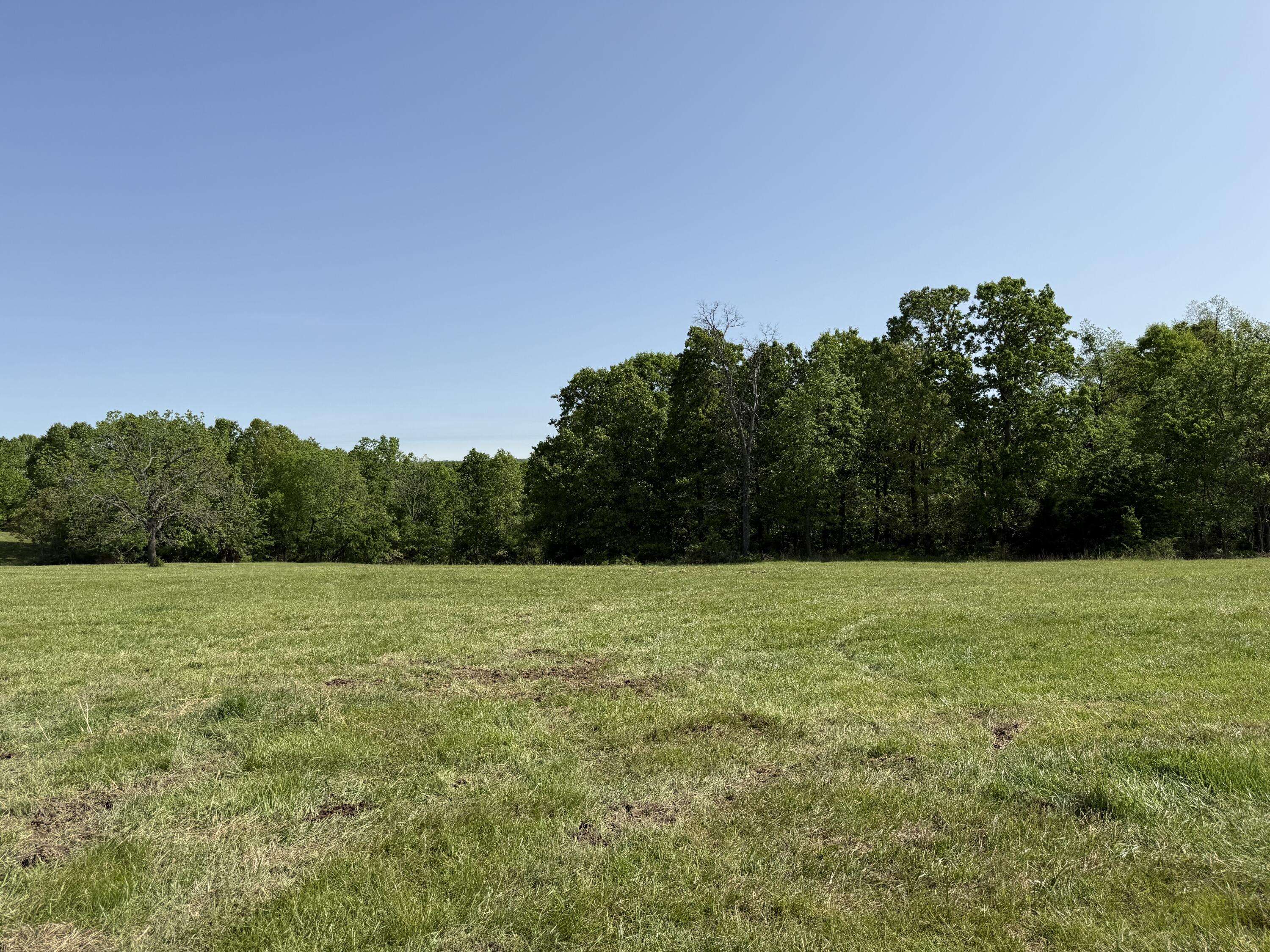 000 Highway M Tract F, Cabool, MO 65689