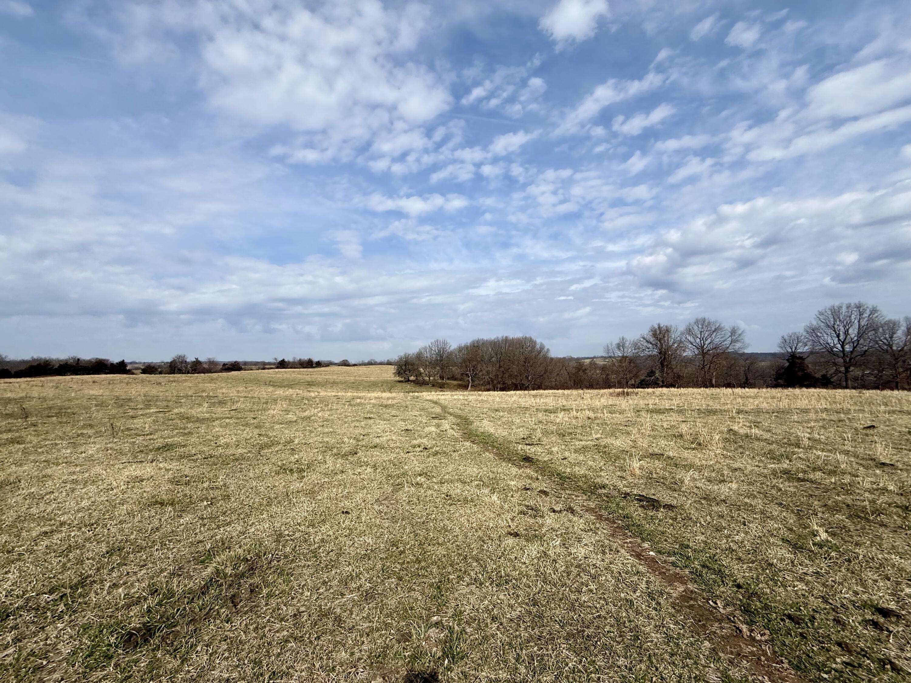 000 Barnum DR #Tract I, Cabool, MO 65689