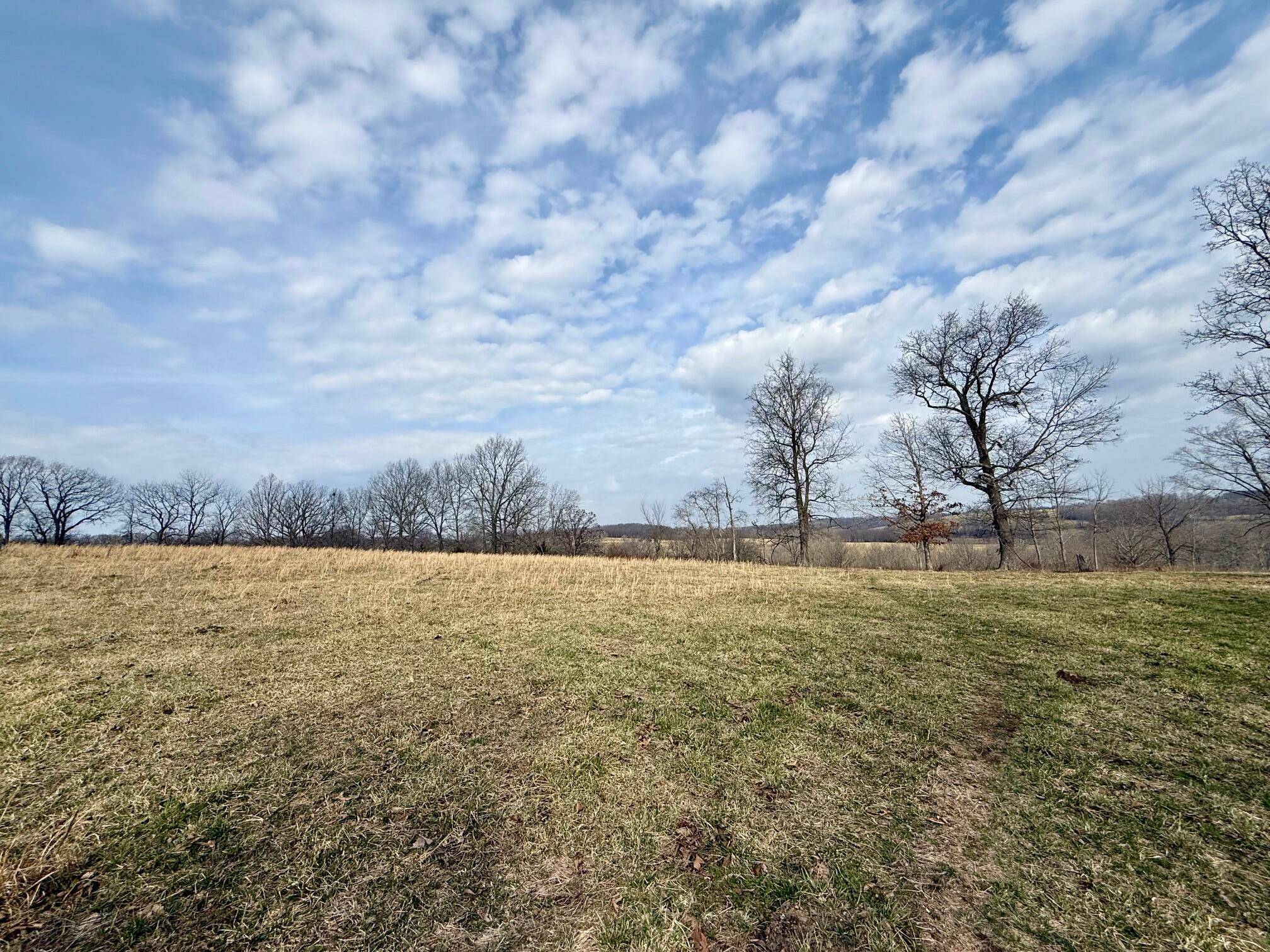 000 Barnum DR #Tract I, Cabool, MO 65689