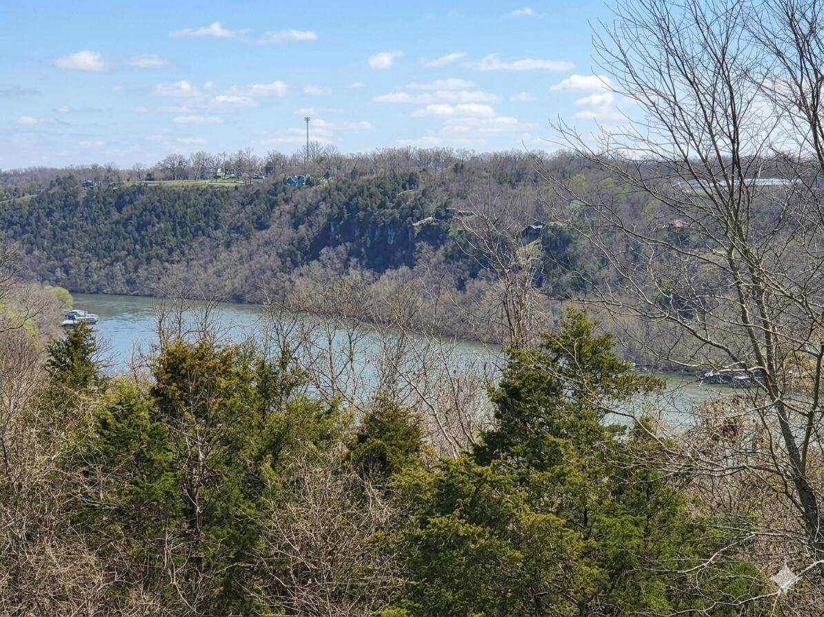 1367 Mountain Grove RD, Branson, MO 65616
