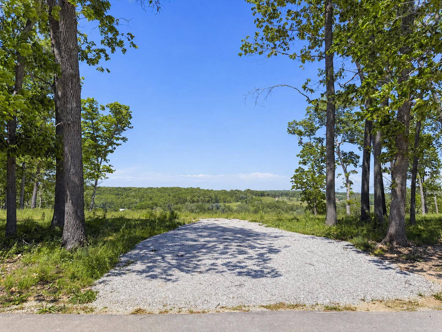 Lot 4 Riverpointe View, Ozark, MO 65721
