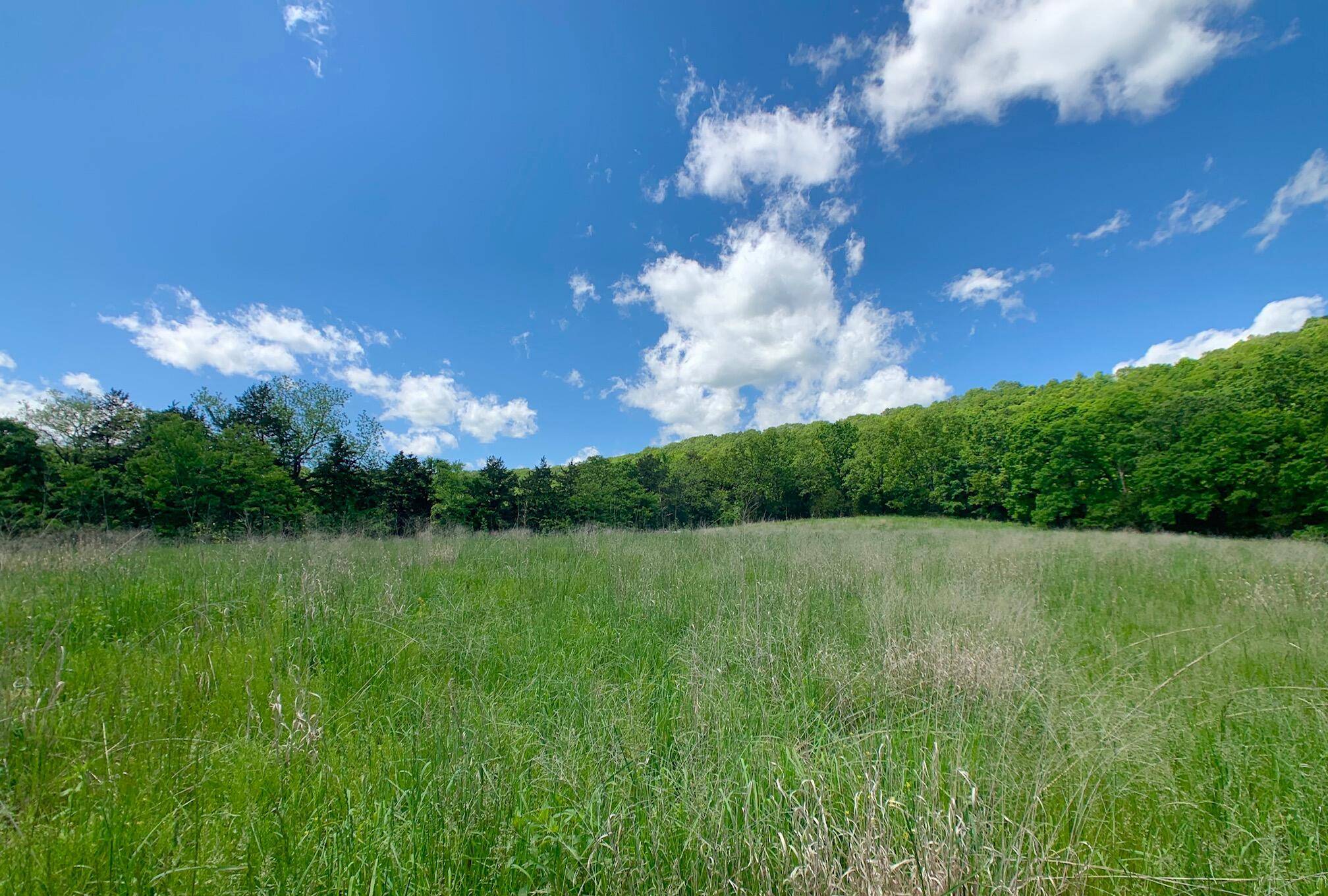 000 Farm Road 1280, Shell Knob, MO 65747