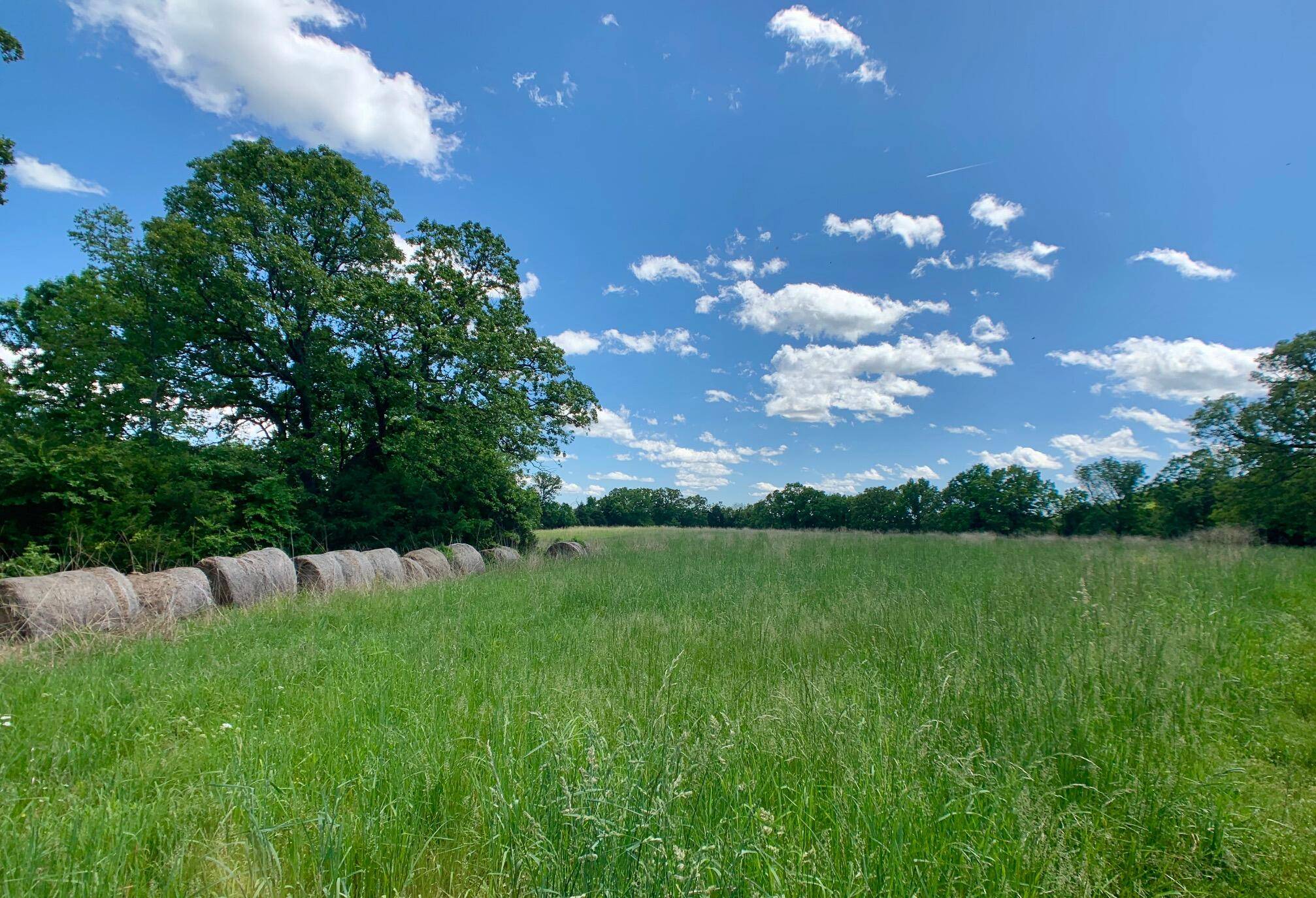 000 Farm Road 1280, Shell Knob, MO 65747