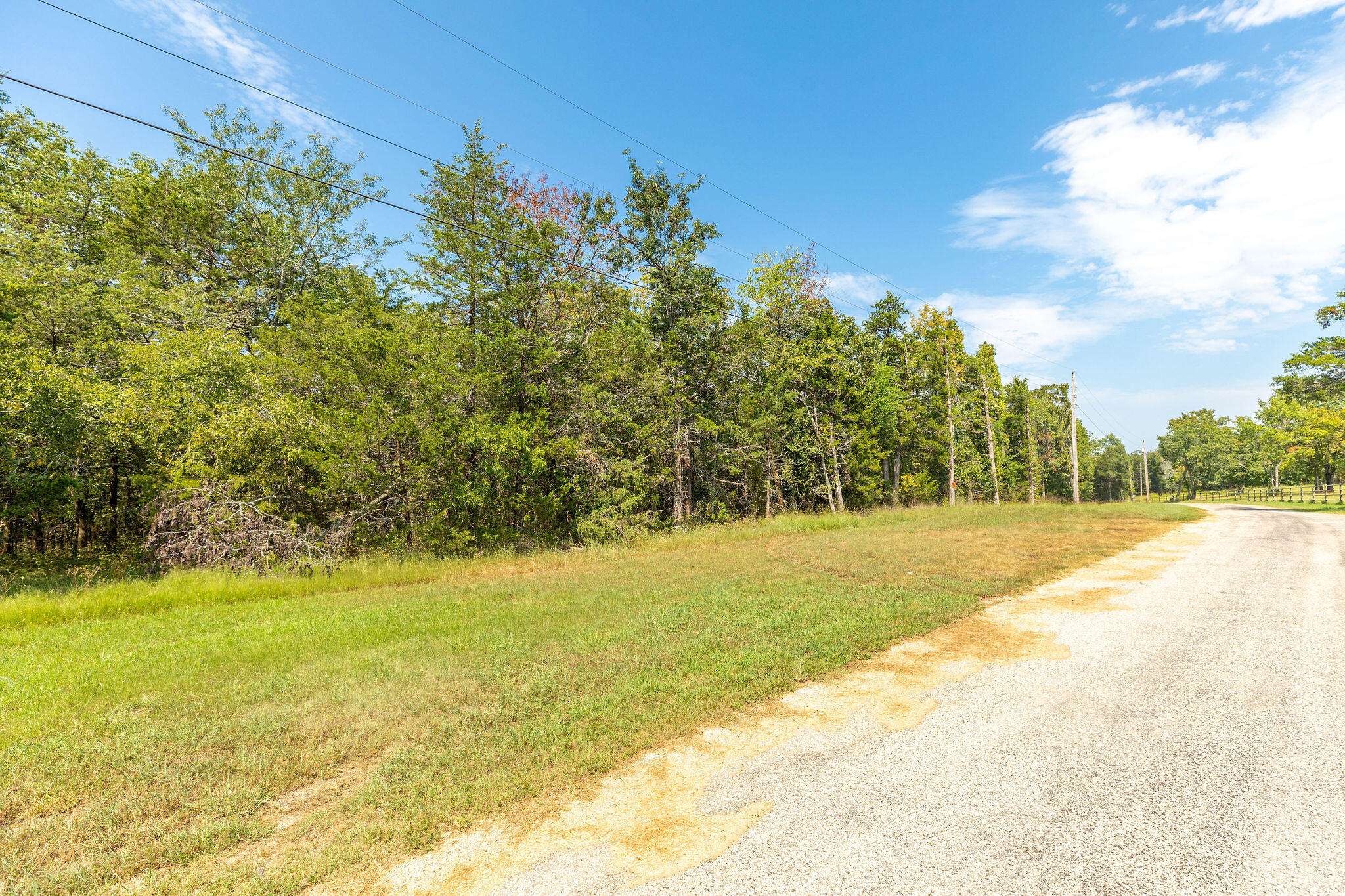 Lot 1 Savage RD, Kirbyville, MO 65679