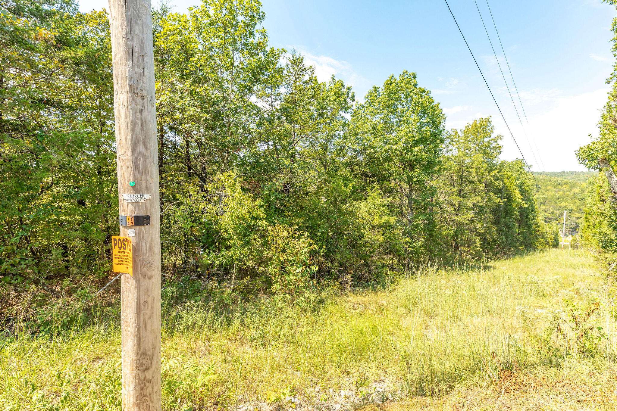 Lot 3 Savage RD, Kirbyville, MO 65679