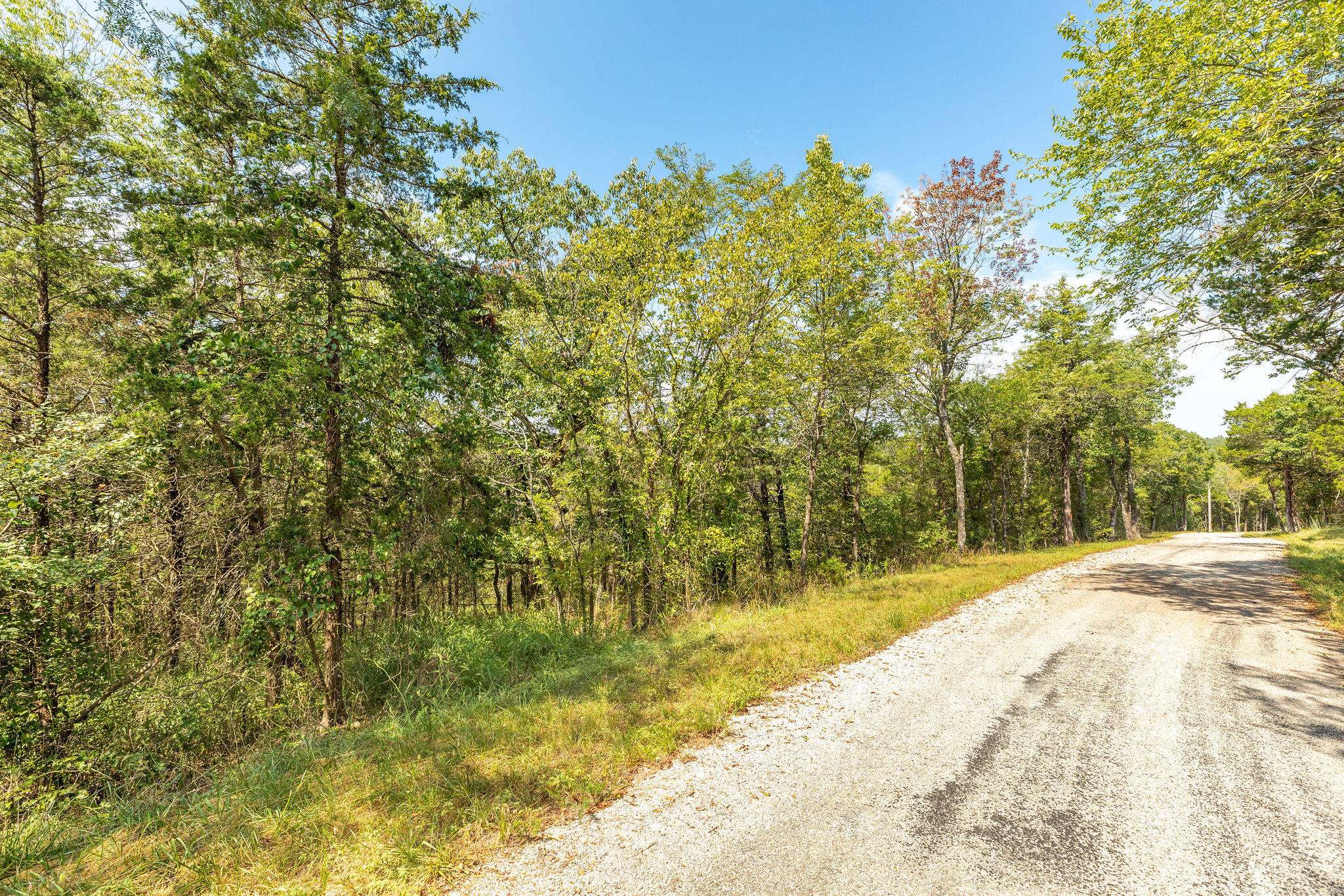 Lot 5 Savage RD, Kirbyville, MO 65679