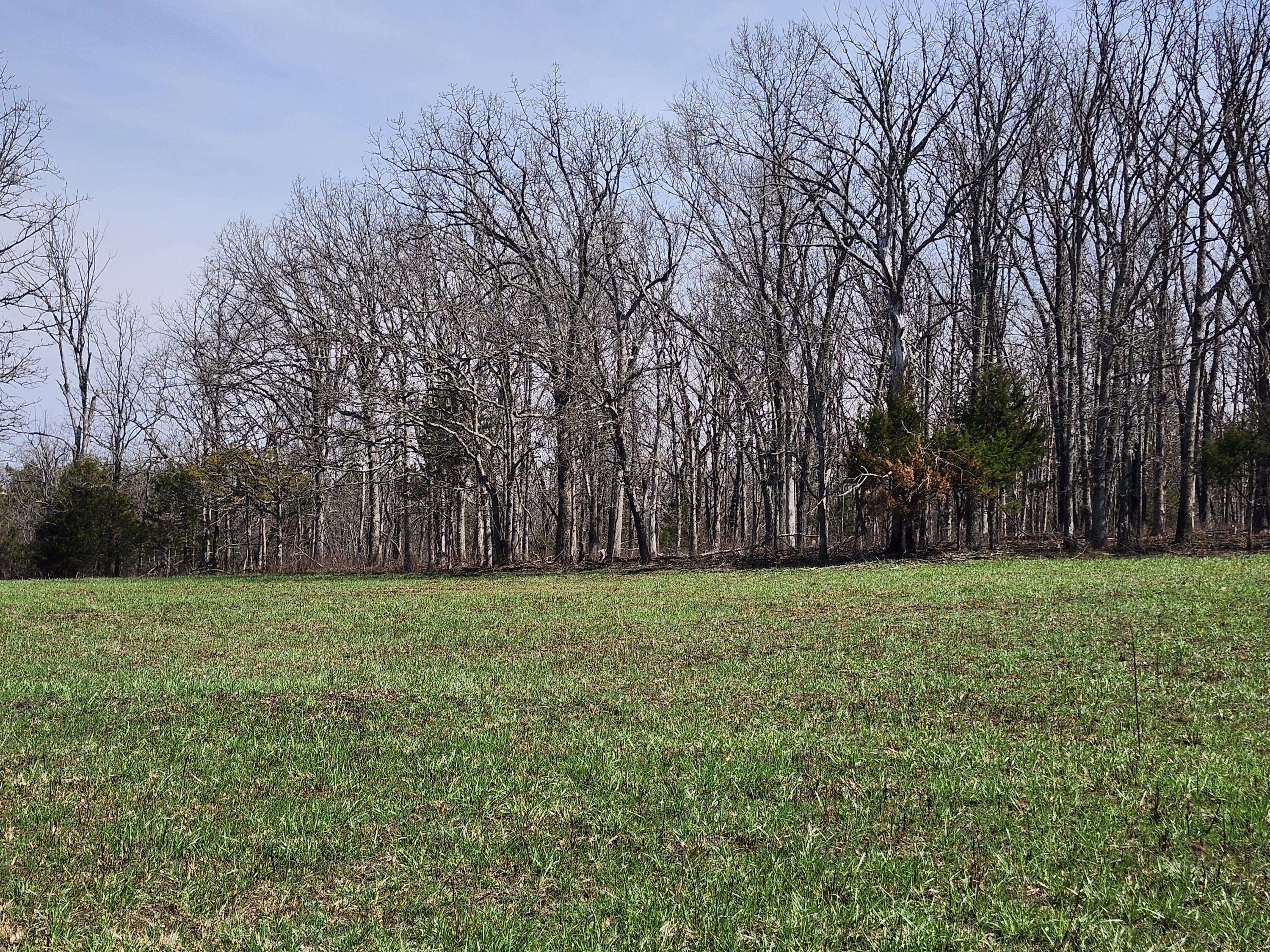 Tbd Huggins RD, Huggins, MO 65484