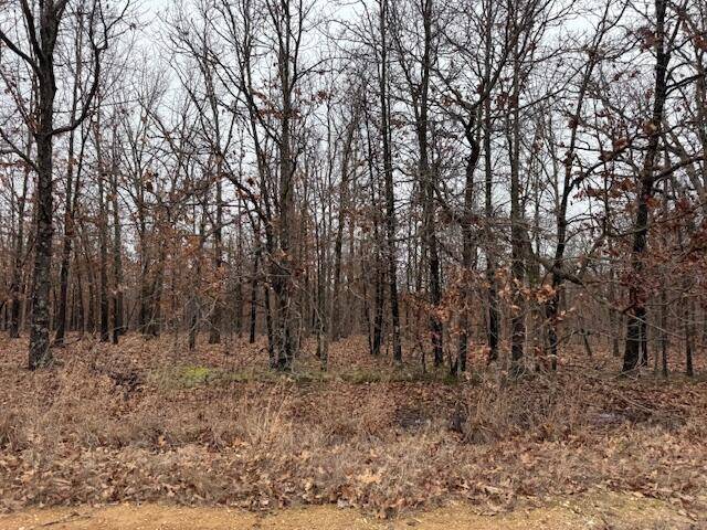 6.47 Acres Hawkweed TRL, Tunas, MO 65764