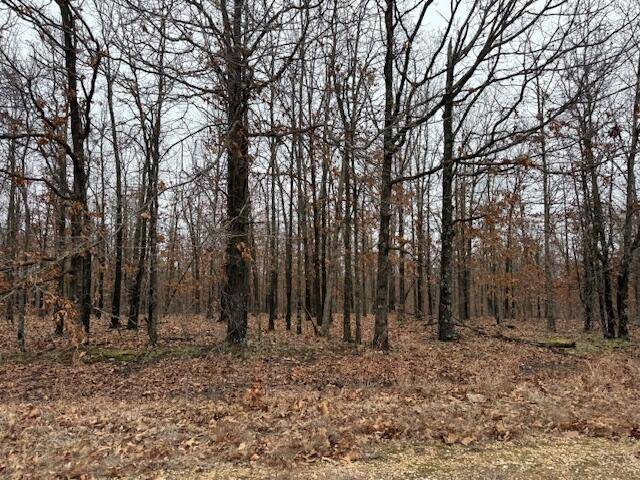 6.47 Acres Hawkweed TRL, Tunas, MO 65764