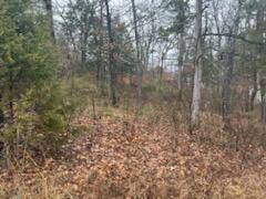 000 (Tbd) Mockingbird RD #Lots 3 & 4, Merriam Woods, MO 65740