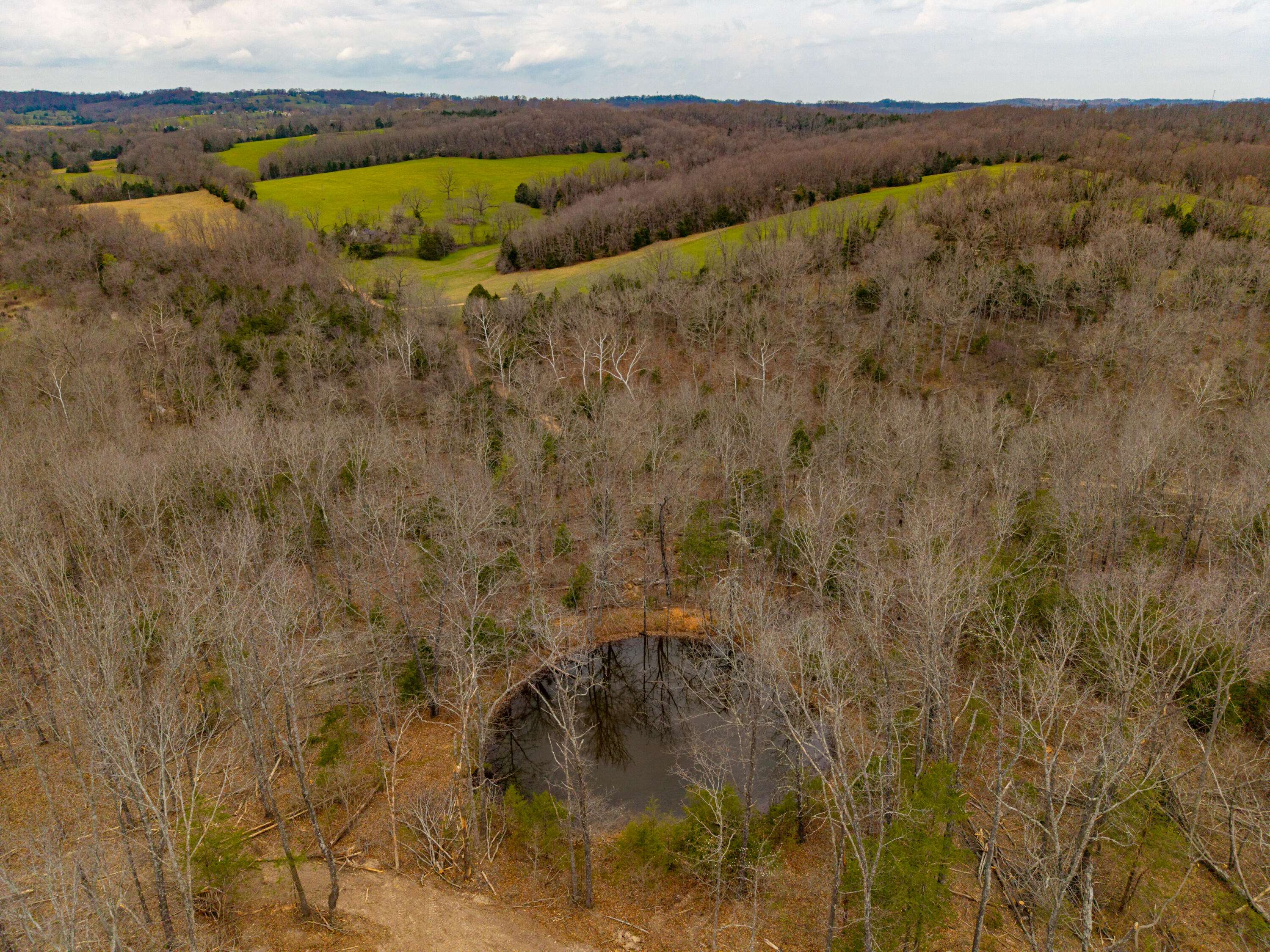 000 E Hwy 14 Private DR #F, Ava, MO 65608