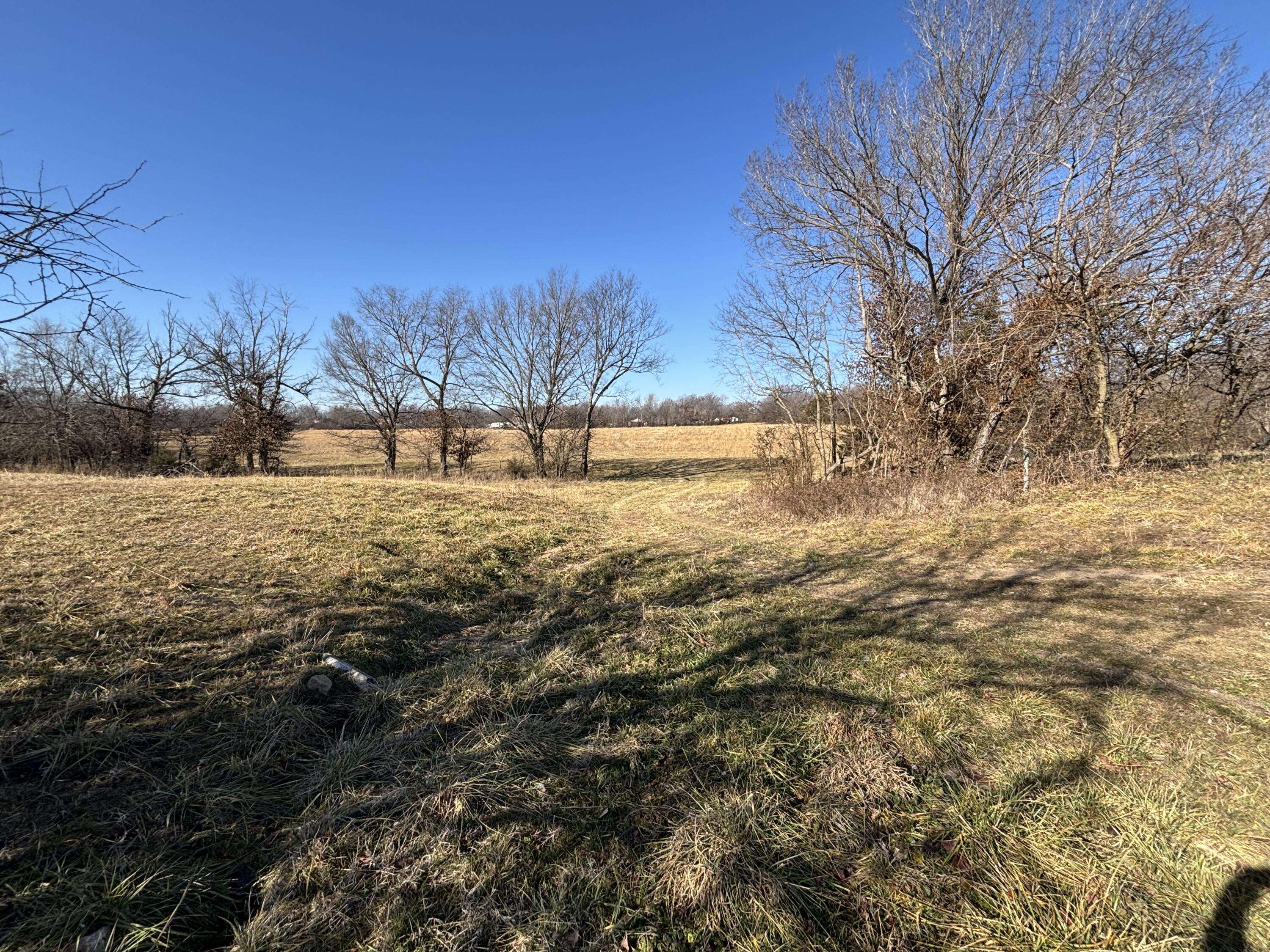 137 E Splitlog AVE, Goodman, MO 64843