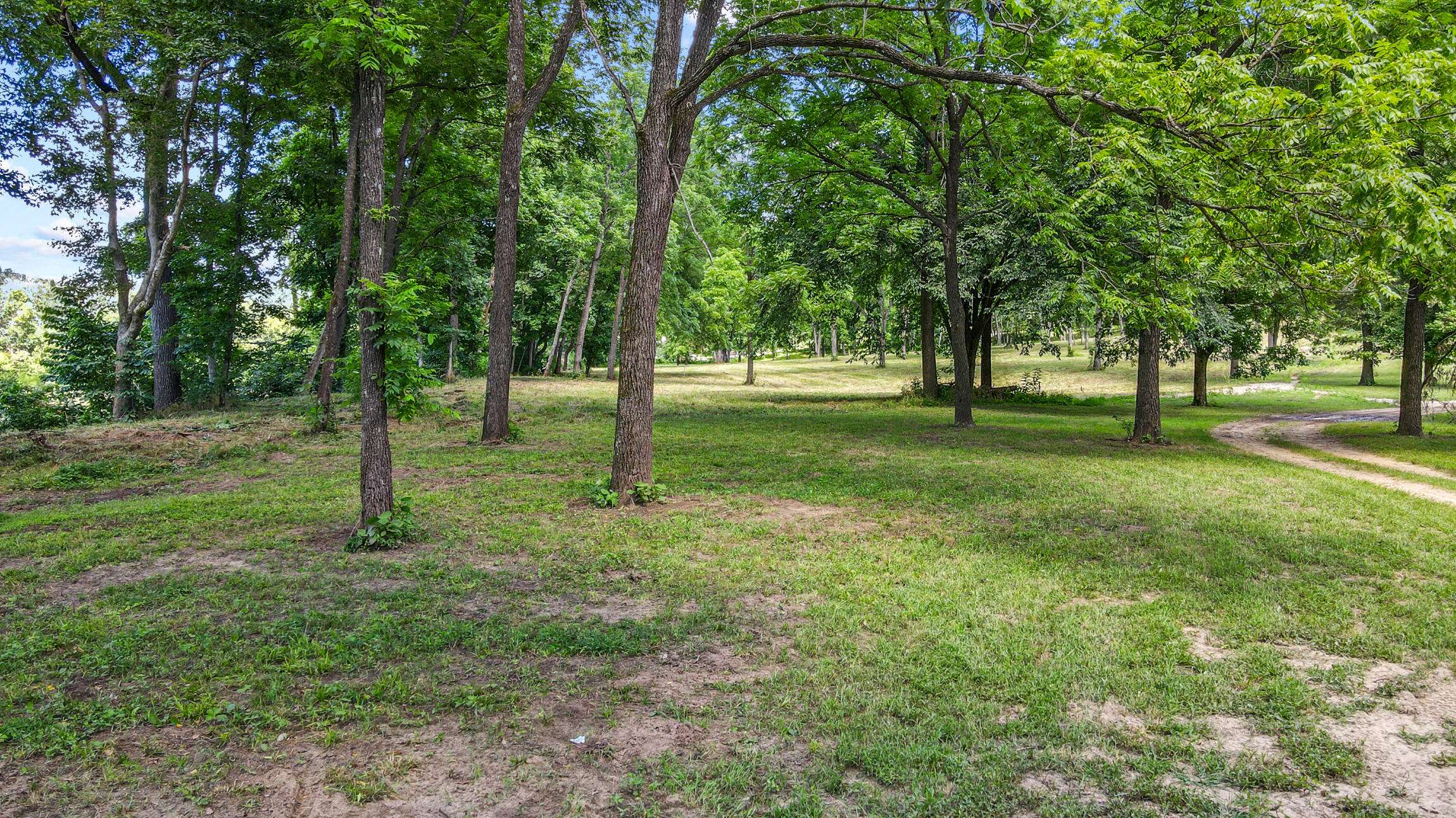 000 Blue Ribbon Landing #Lot 12, Pottersville, MO 65790