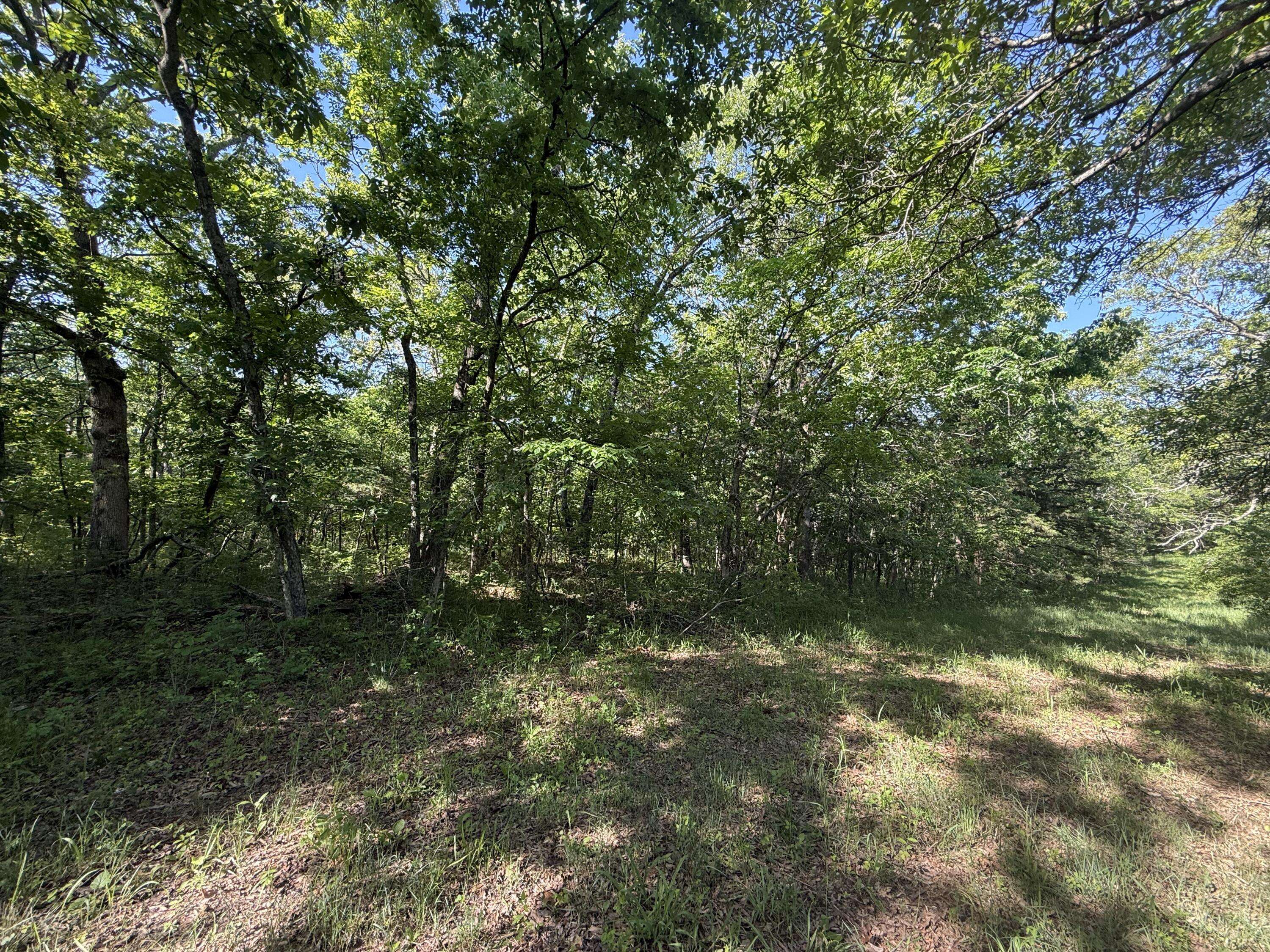 Tbd County Road 203, Wheatland, MO 65779