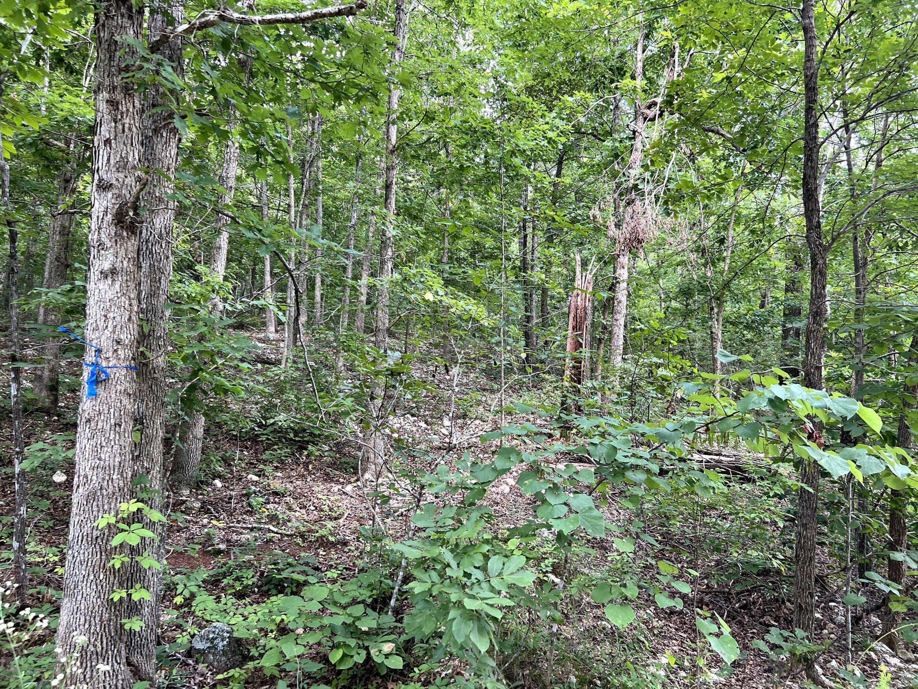 Lot 45 Private Road Ridge Haven, Mammoth Spring, AR 72554