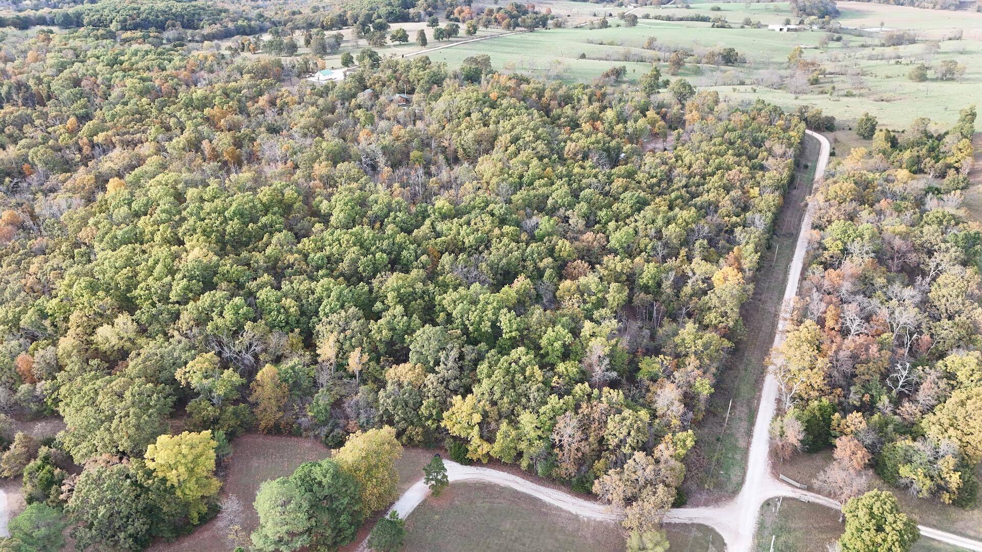000 SE 451 RD, Collins, MO 64738