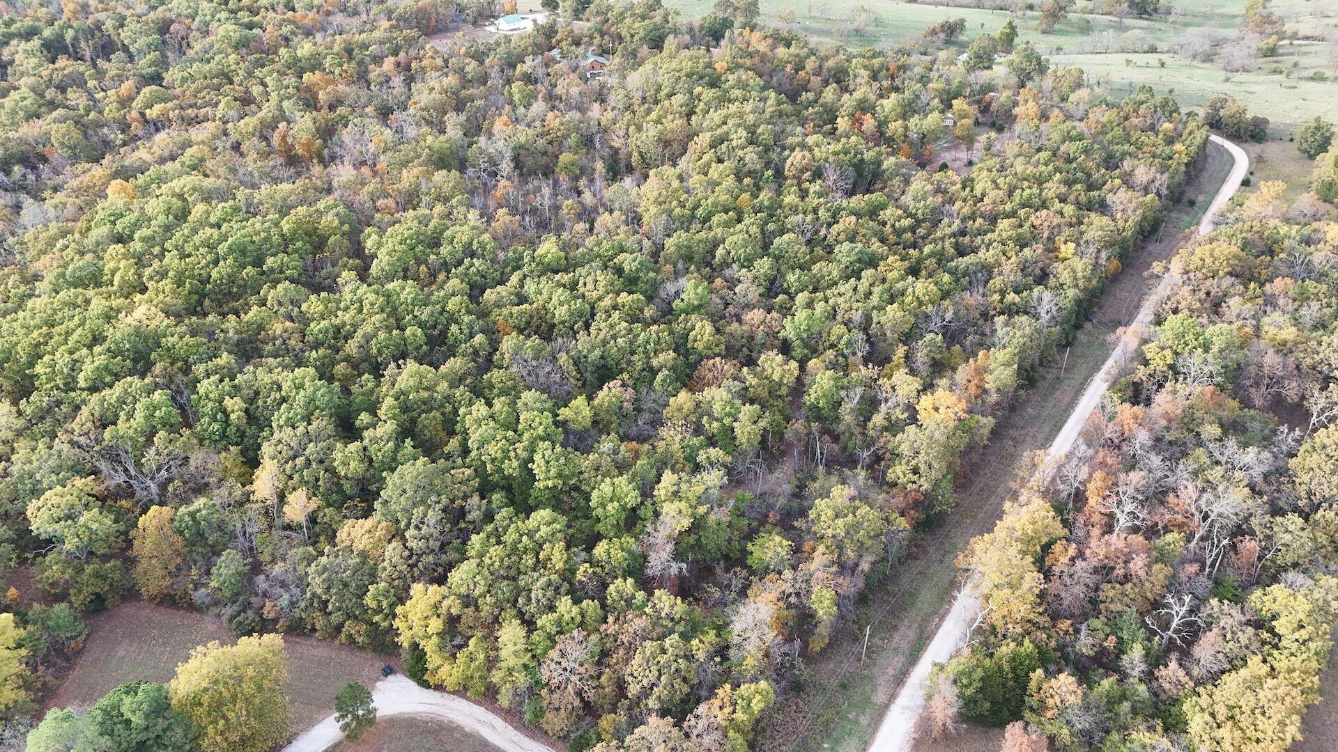 000 SE 451 RD, Collins, MO 64738