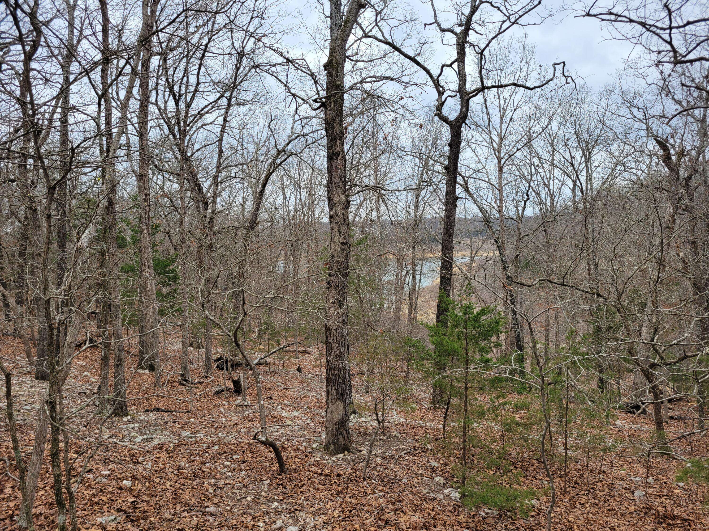 000 Lost Mine RD, Theodosia, MO 65761
