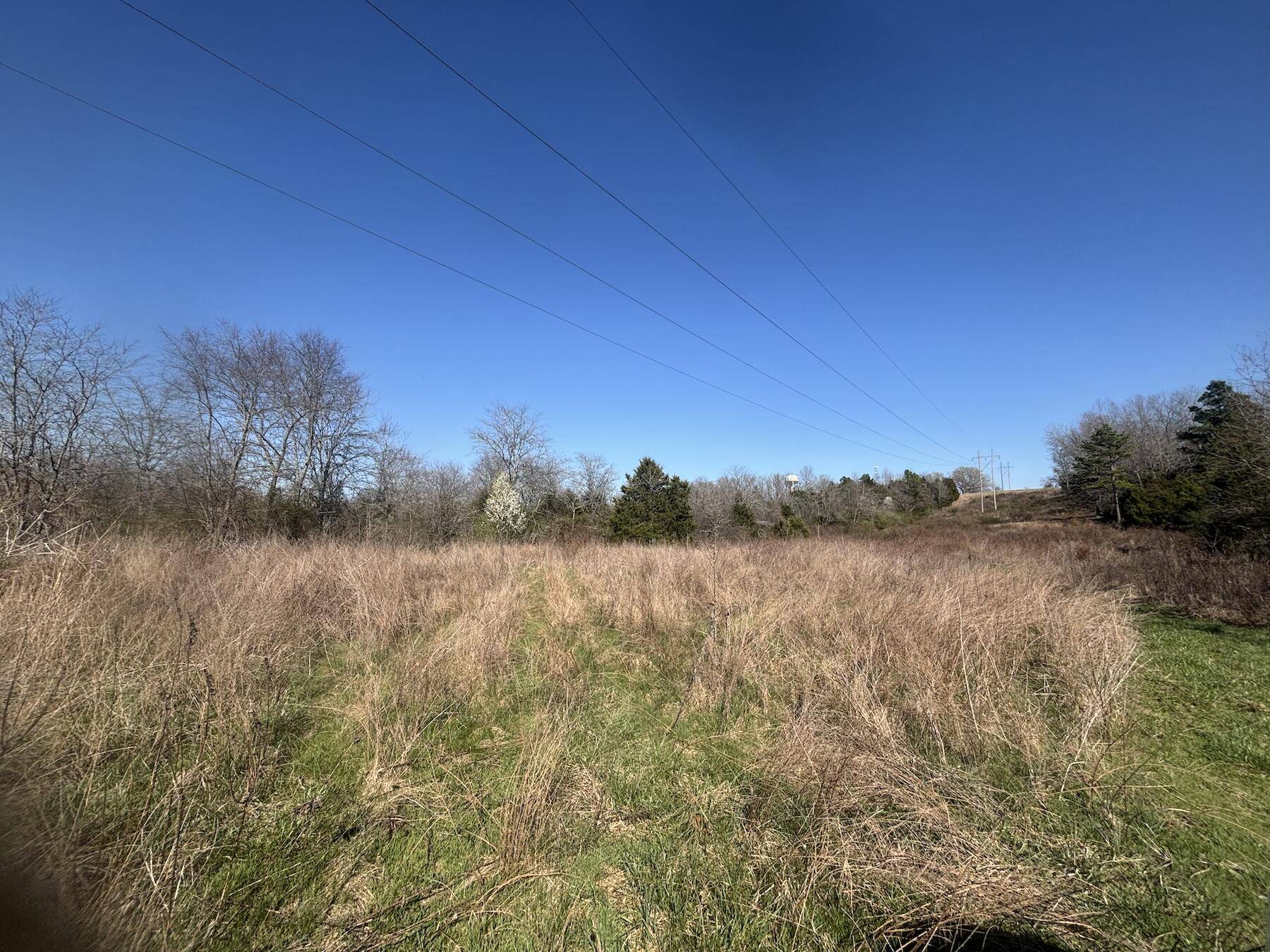 000 Weaver Street, Winona, MO 65588