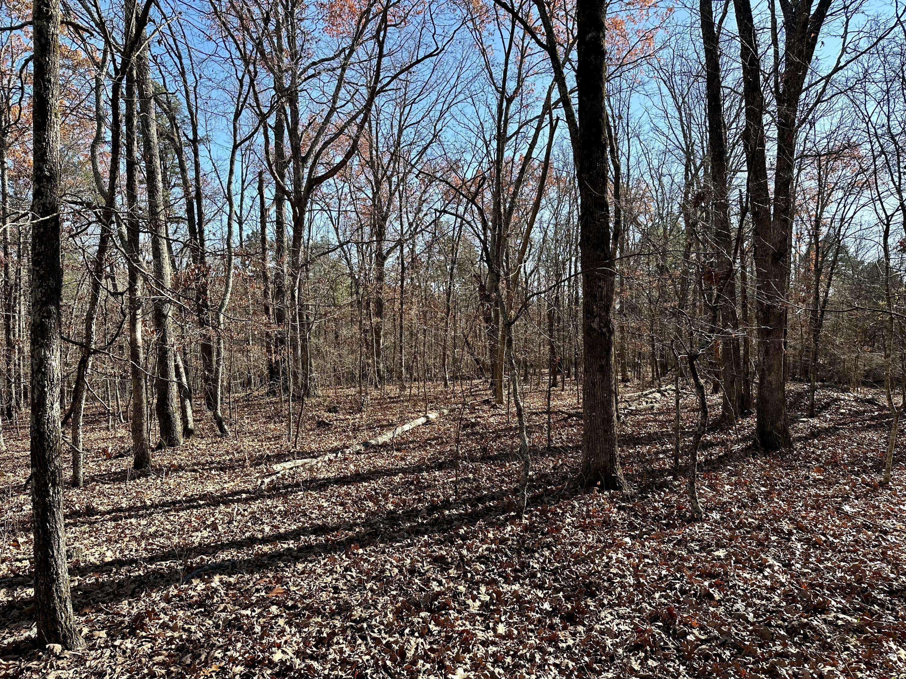 000 Highway H, Ellsinor, MO 63937