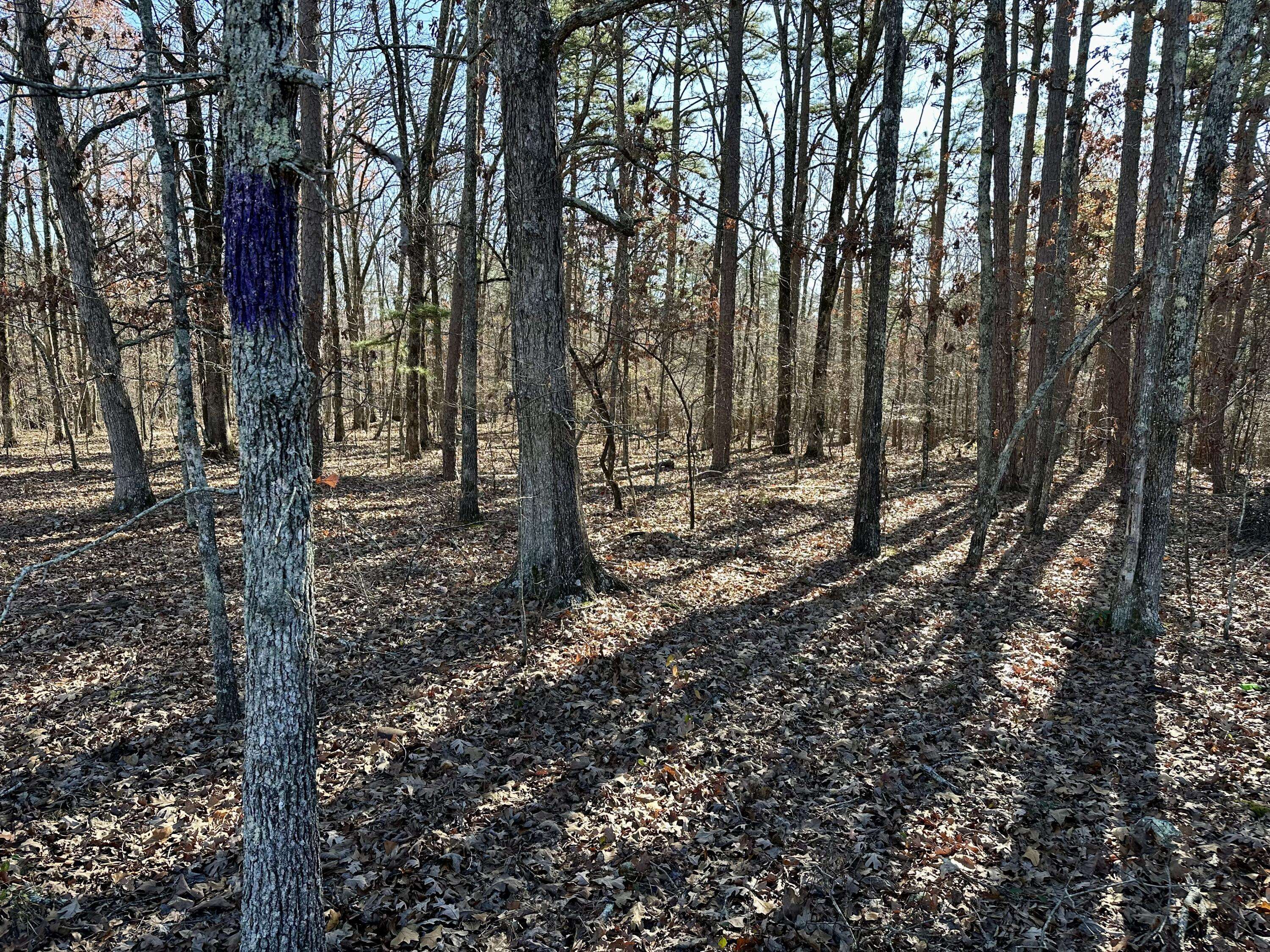 000 Highway H, Ellsinor, MO 63937